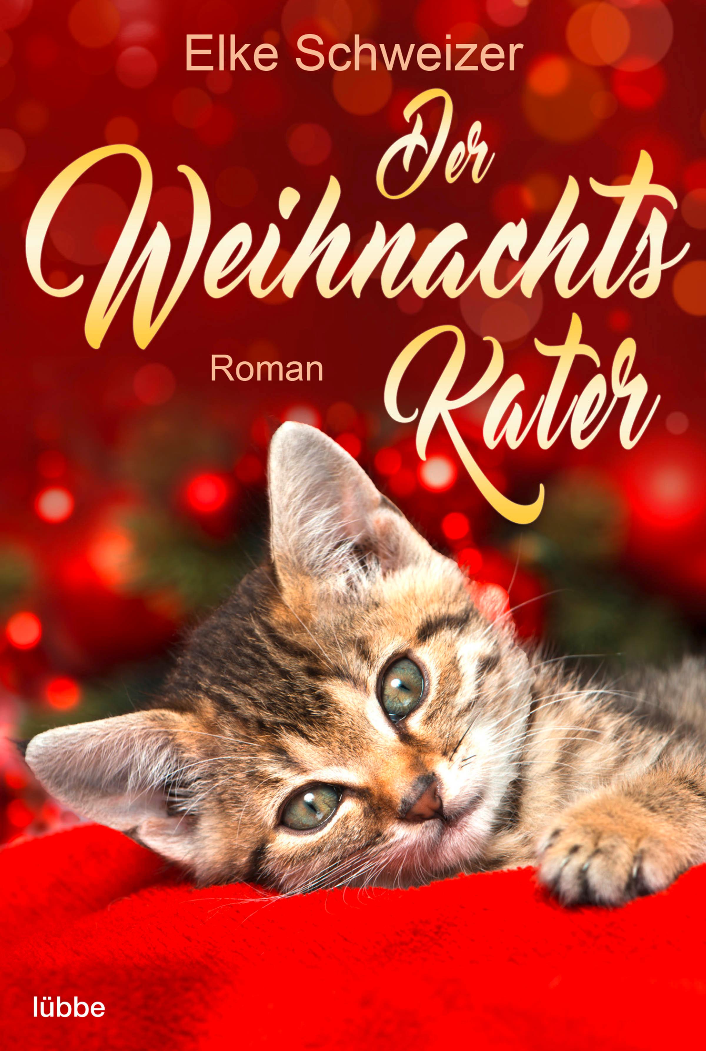 Der Weihnachtskater