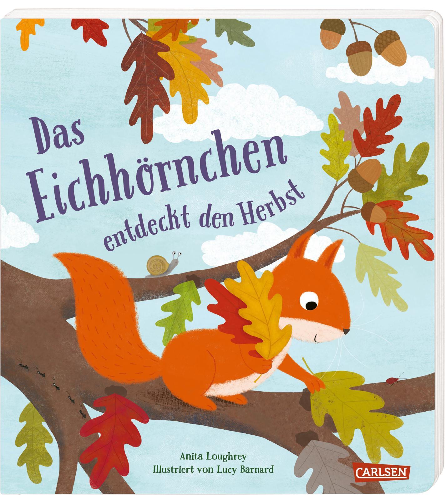 Das Eichhörnchen entdeckt den Herbst