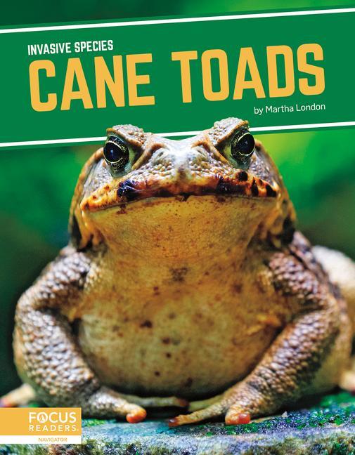 Cane Toads