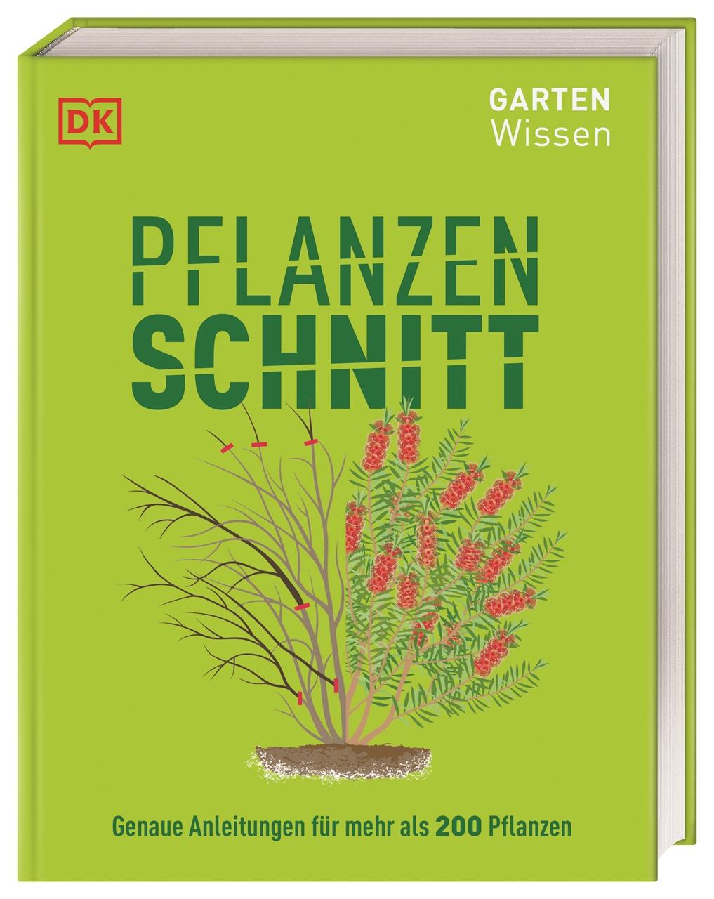 Gartenwissen Pflanzenschnitt