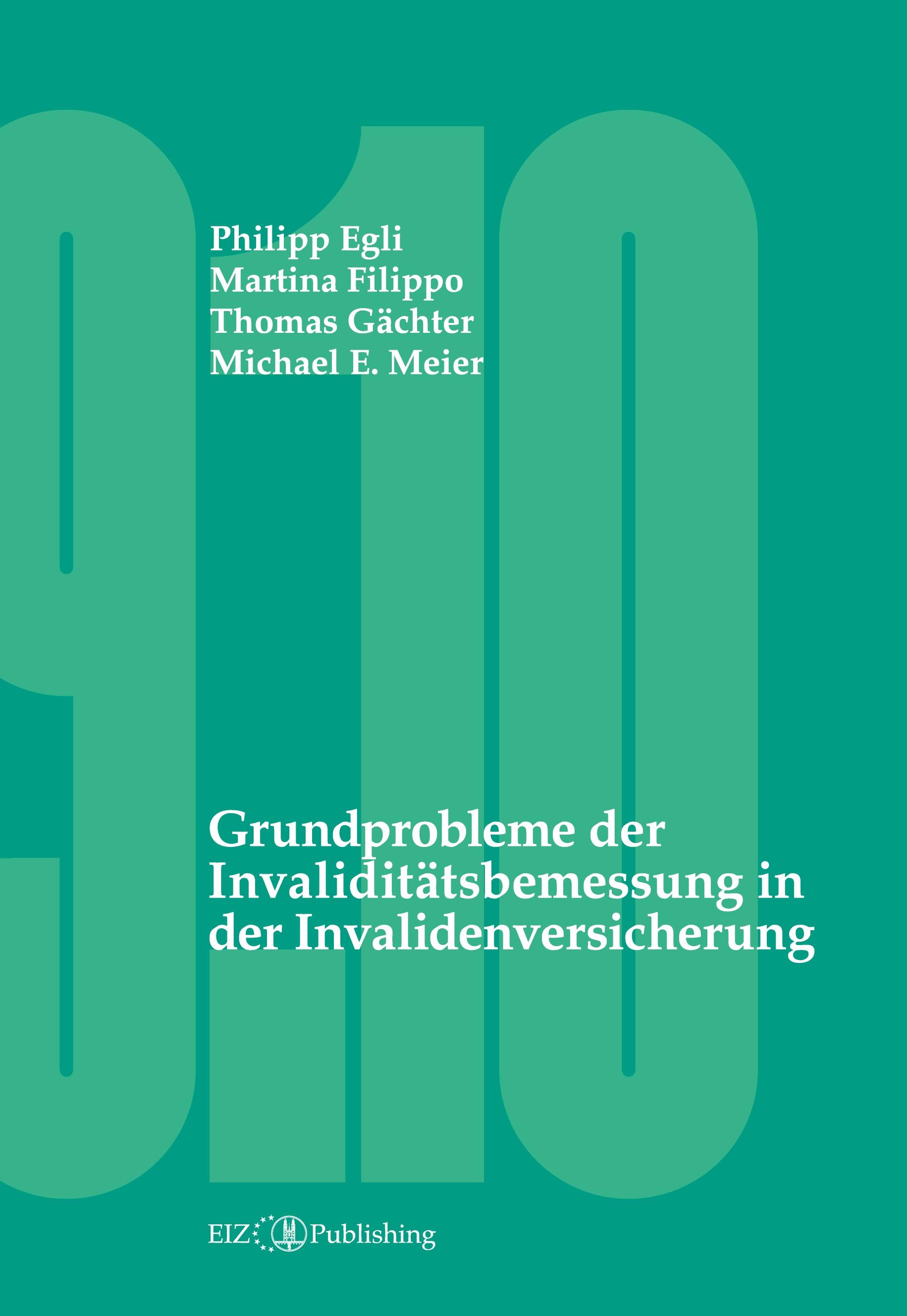 Grundprobleme der Invaliditätsbemessung in der Invalidenversicherung