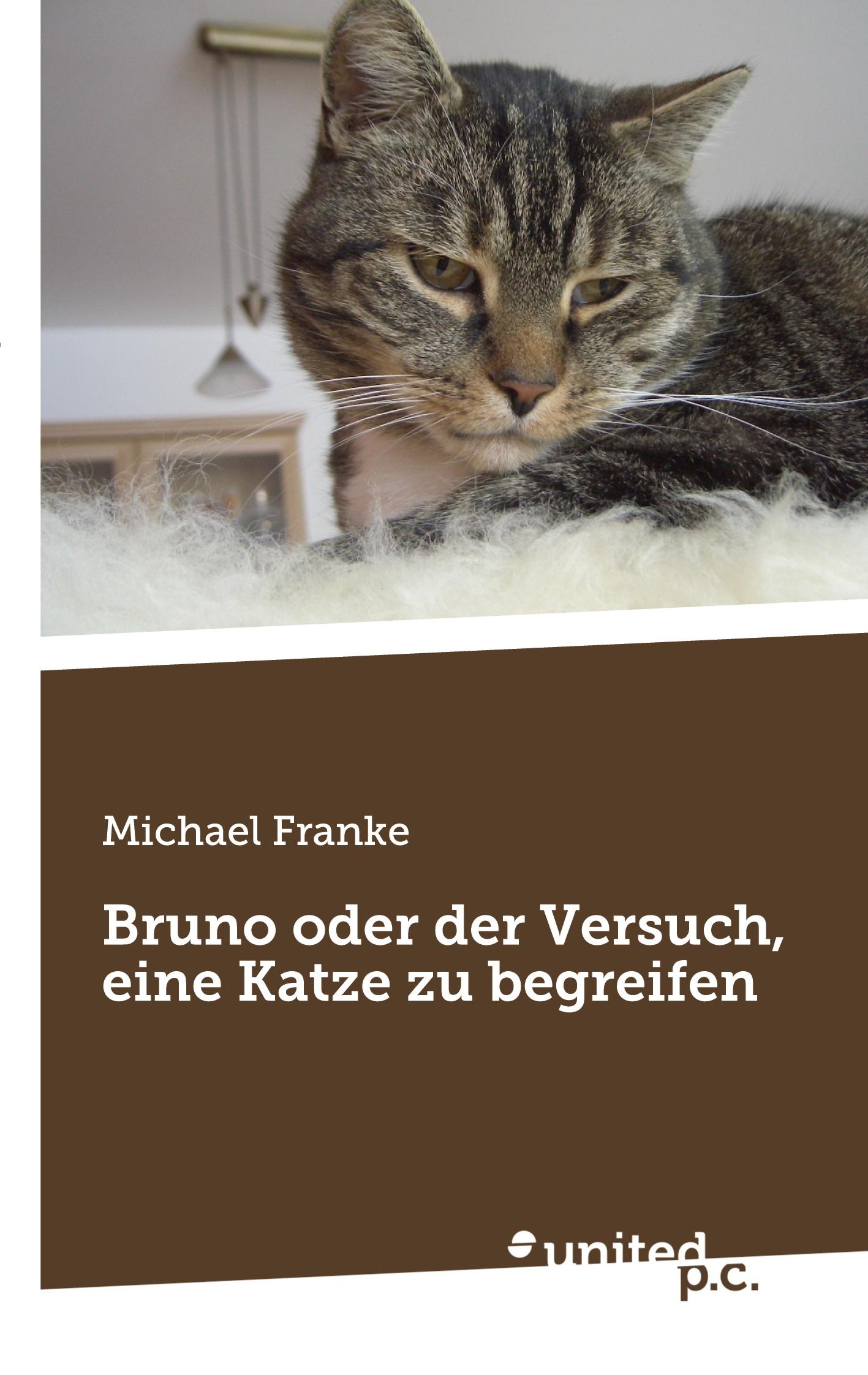 Bruno oder der Versuch, eine Katze zu begreifen