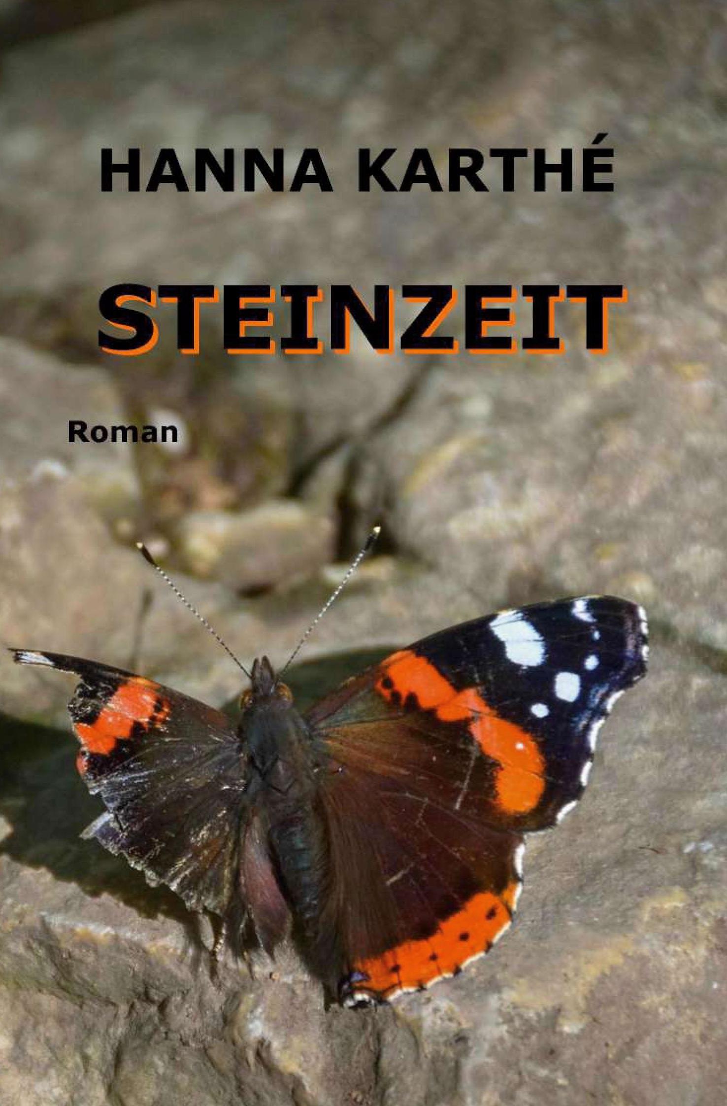 Steinzeit