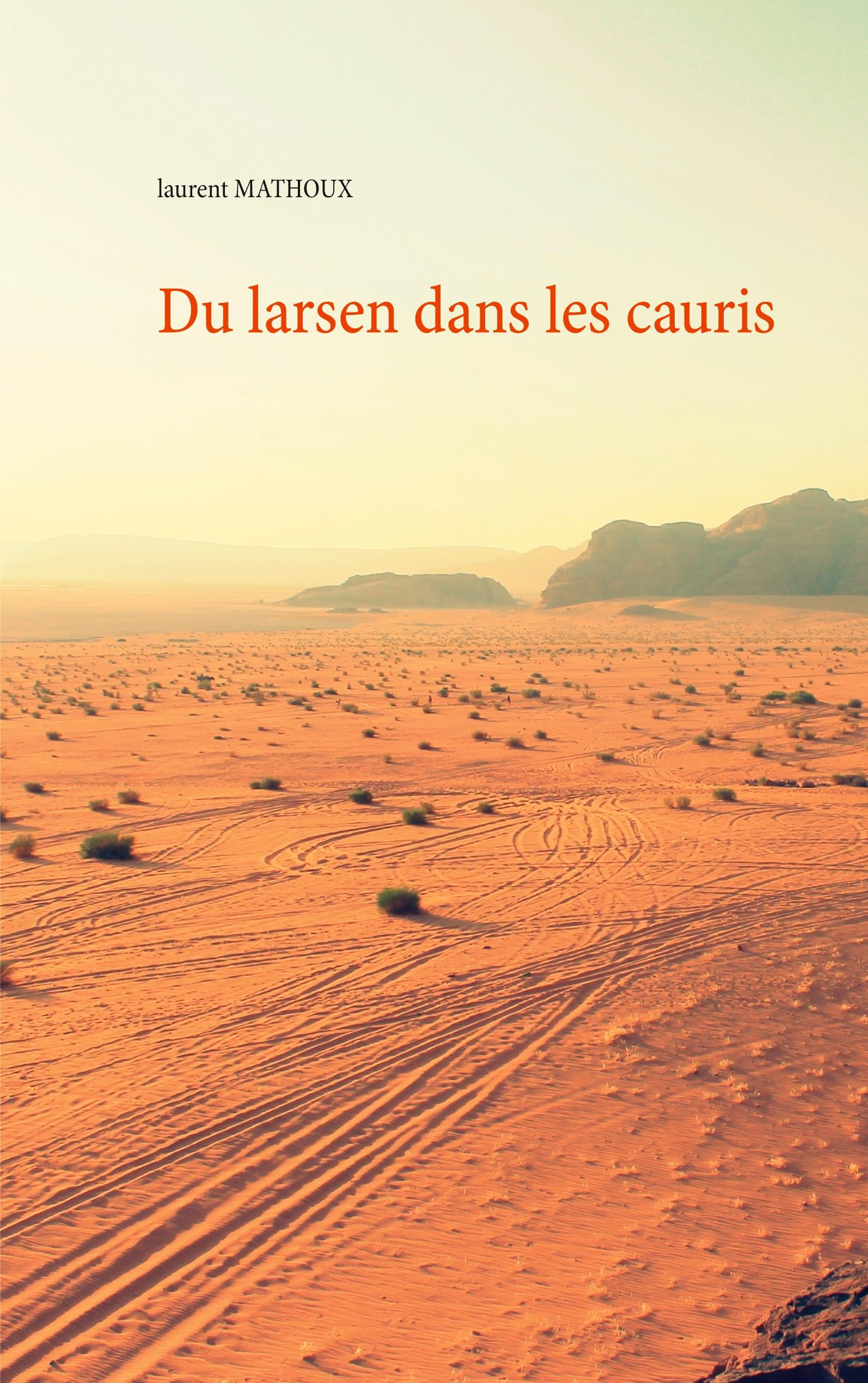 Du larsen dans les cauris