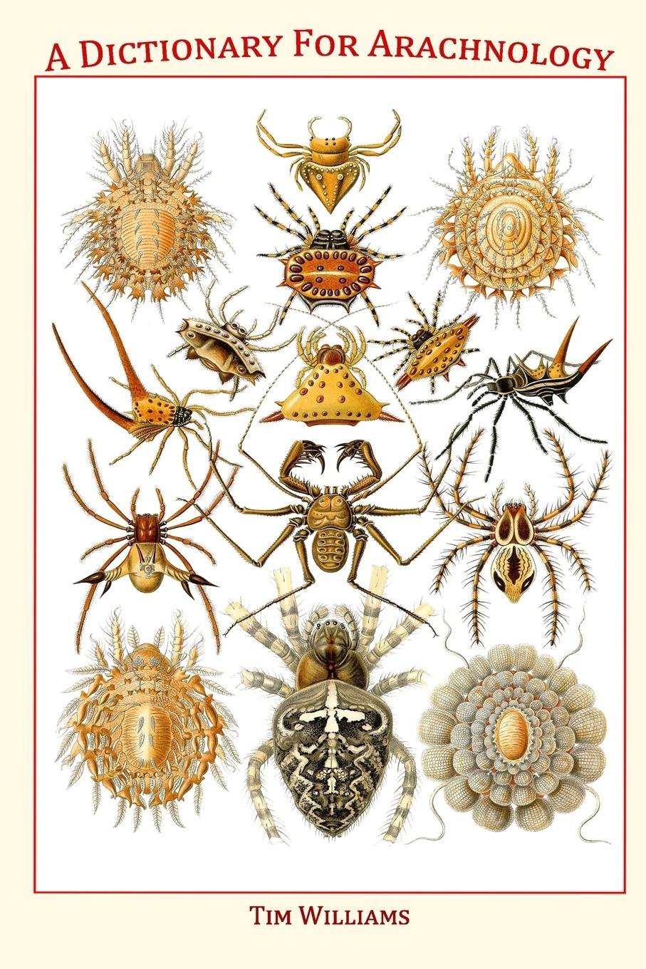 A Dictionary for Arachnology