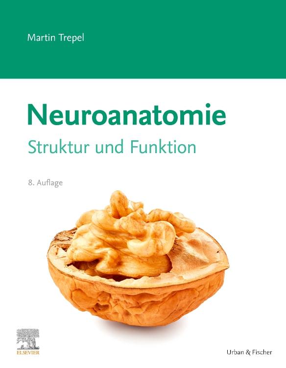 Neuroanatomie