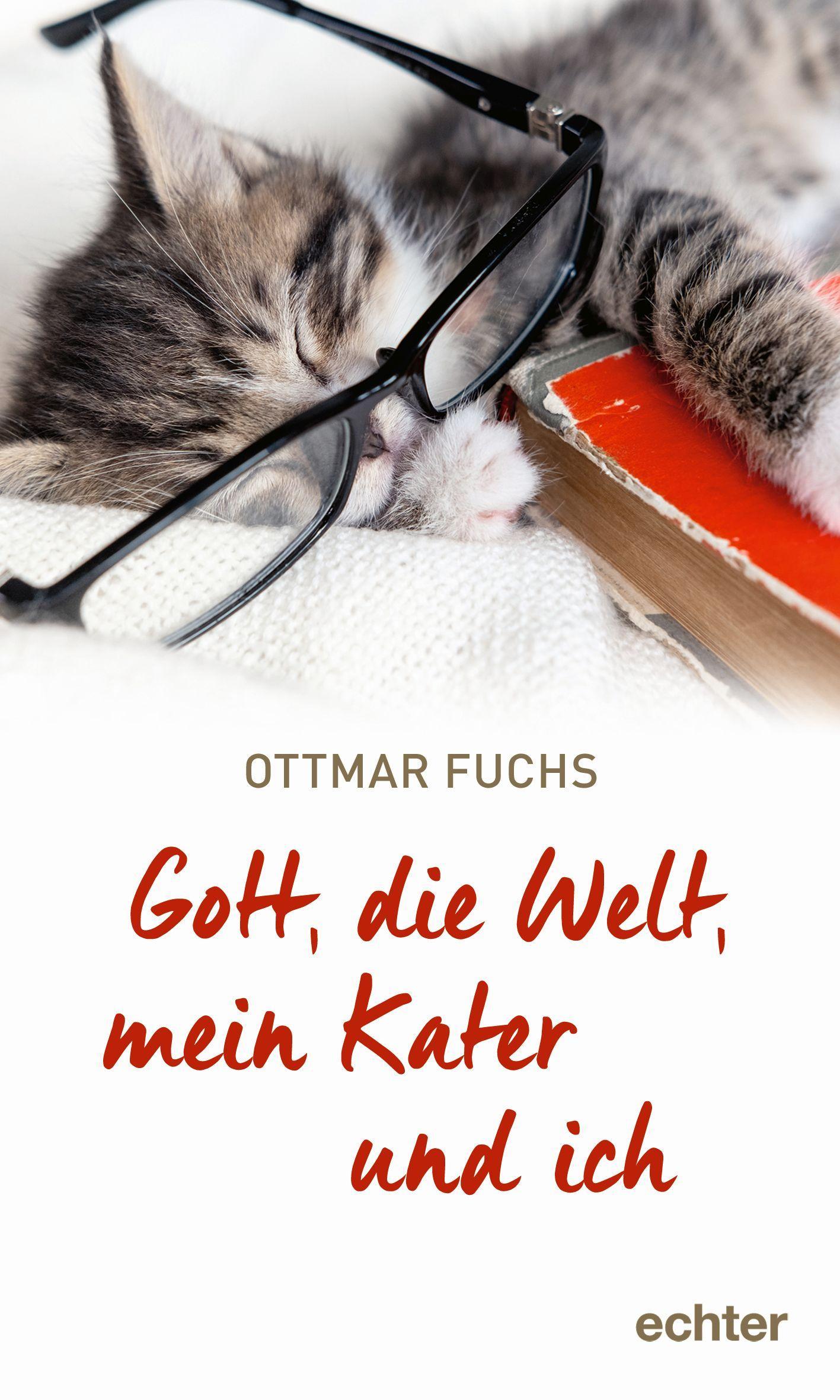 Gott, die Welt, mein Kater und ich