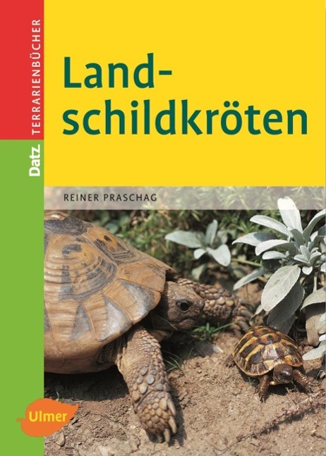 Landschildkröten