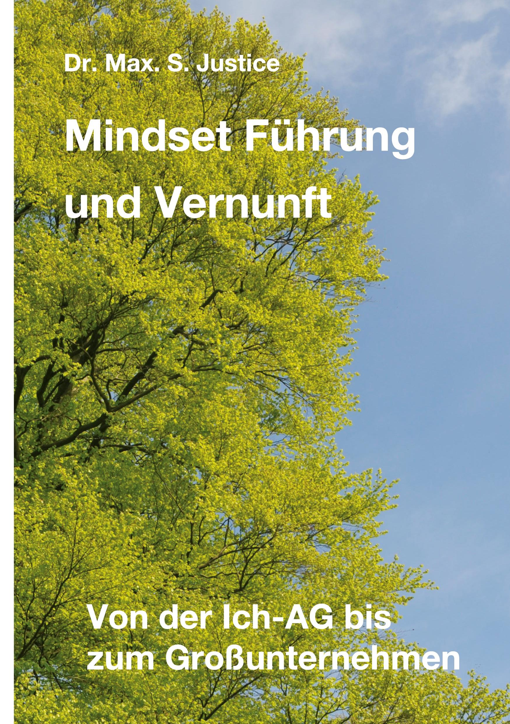 Mindset Führung und Vernunft