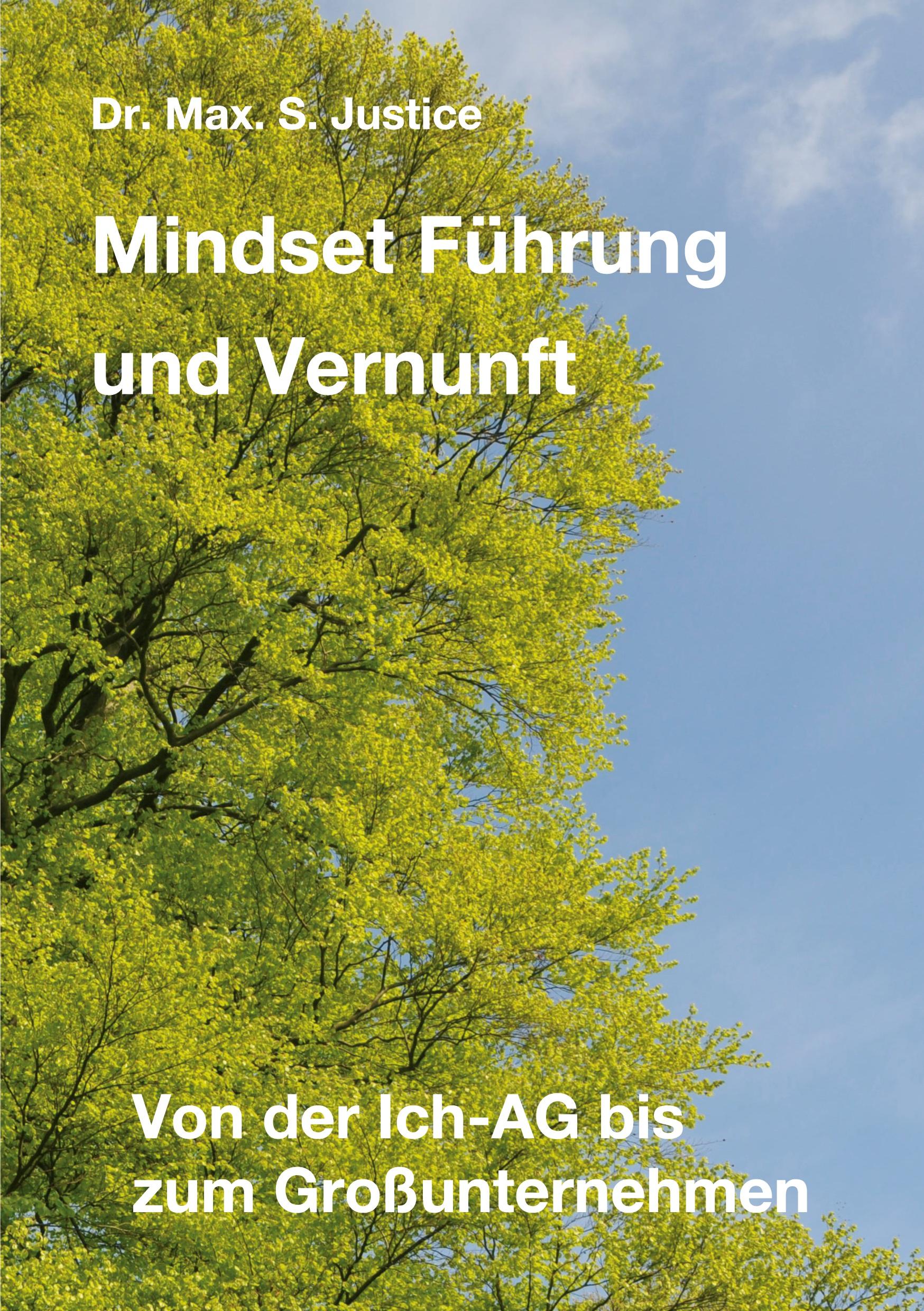 Mindset Führung und Vernunft