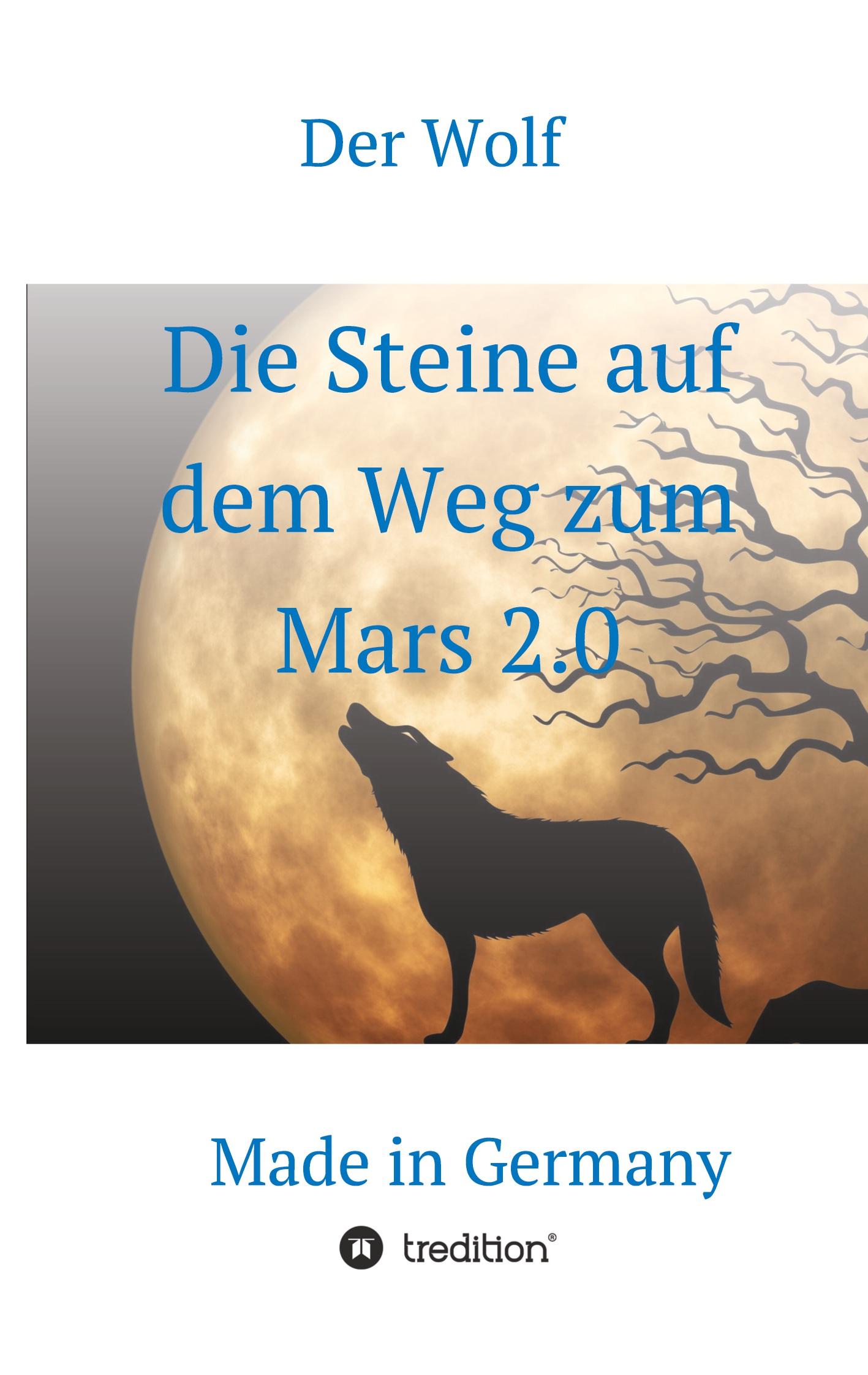 Die Steine auf dem Weg zum Mars 2.0