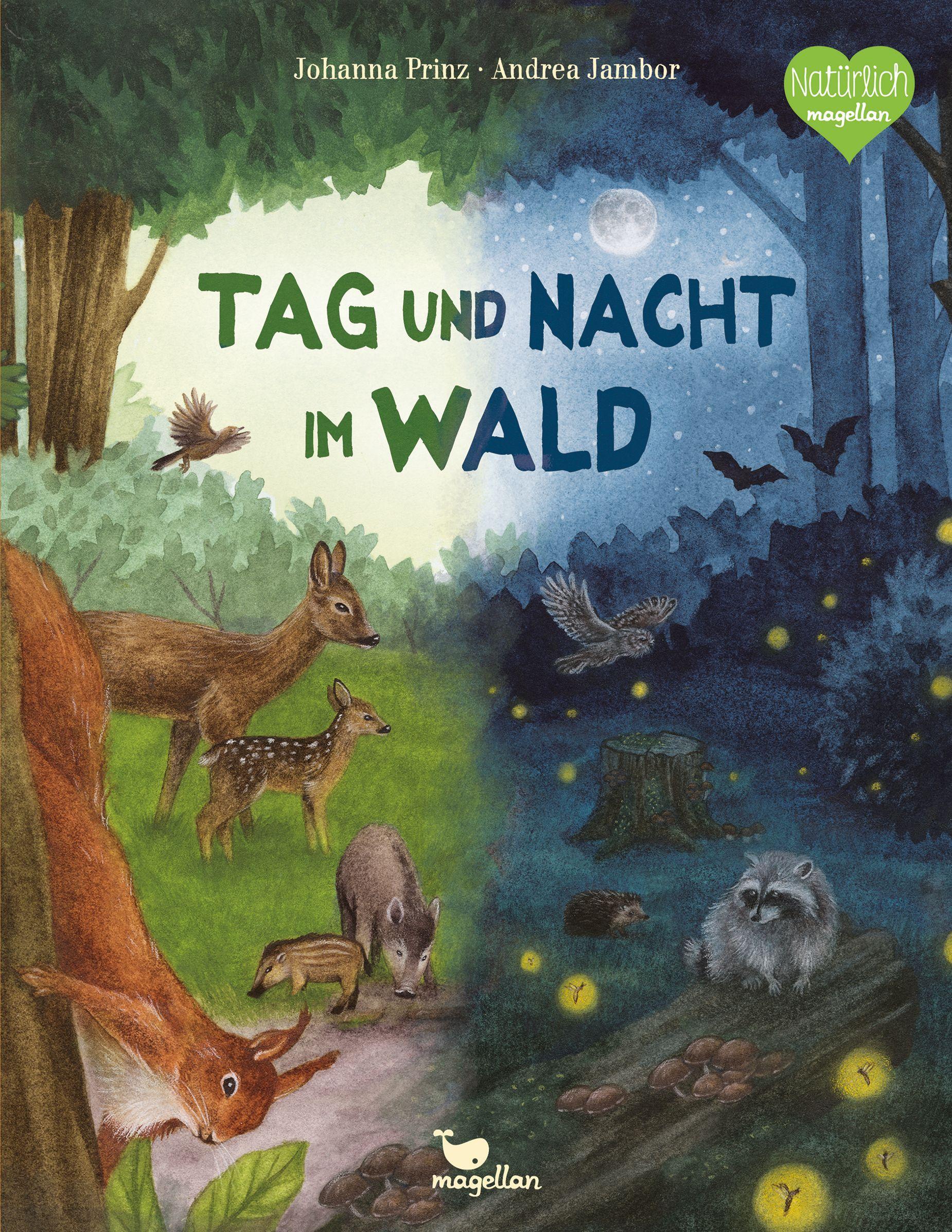 Tag und Nacht im Wald