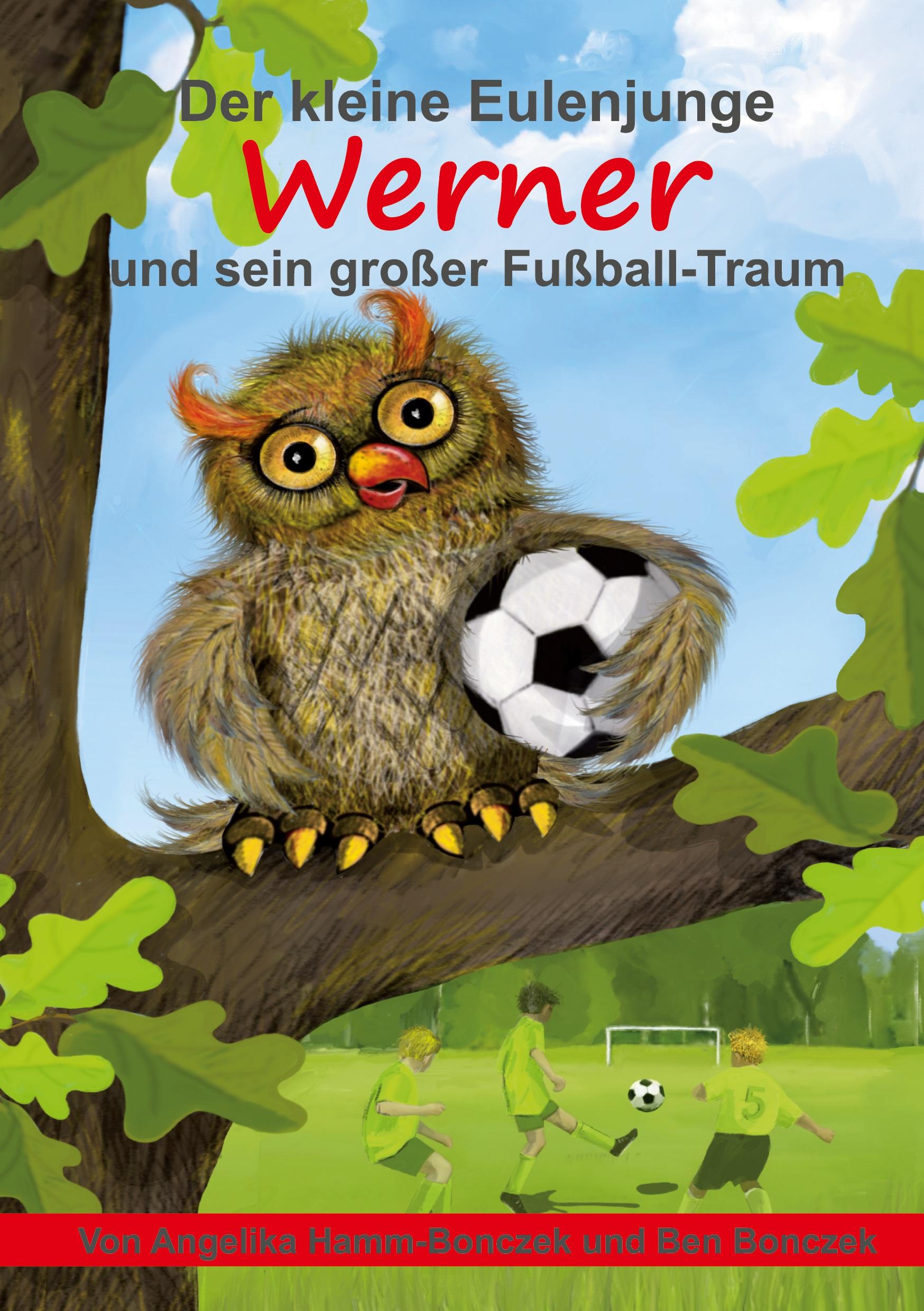 Der kleine Eulenjunge Werner und sein großer Fußball-Traum