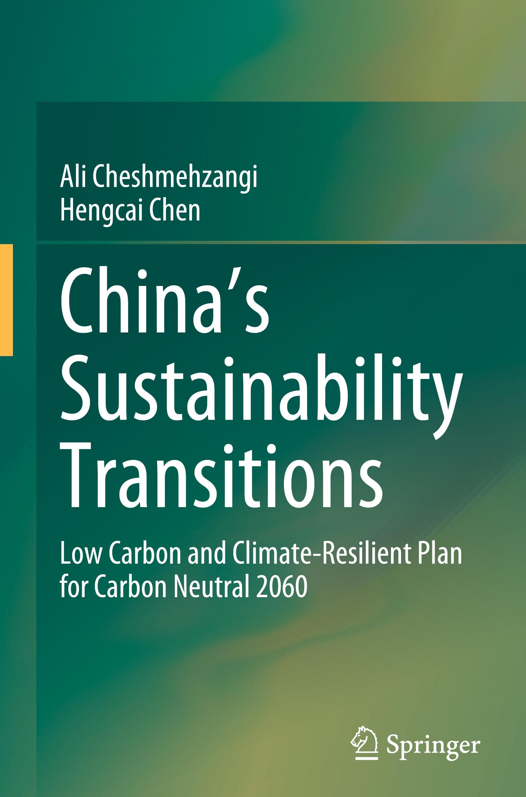 China's Sustainability Transitions