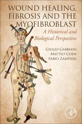 Wound Healing, Fibrosis, and the Myofibroblast