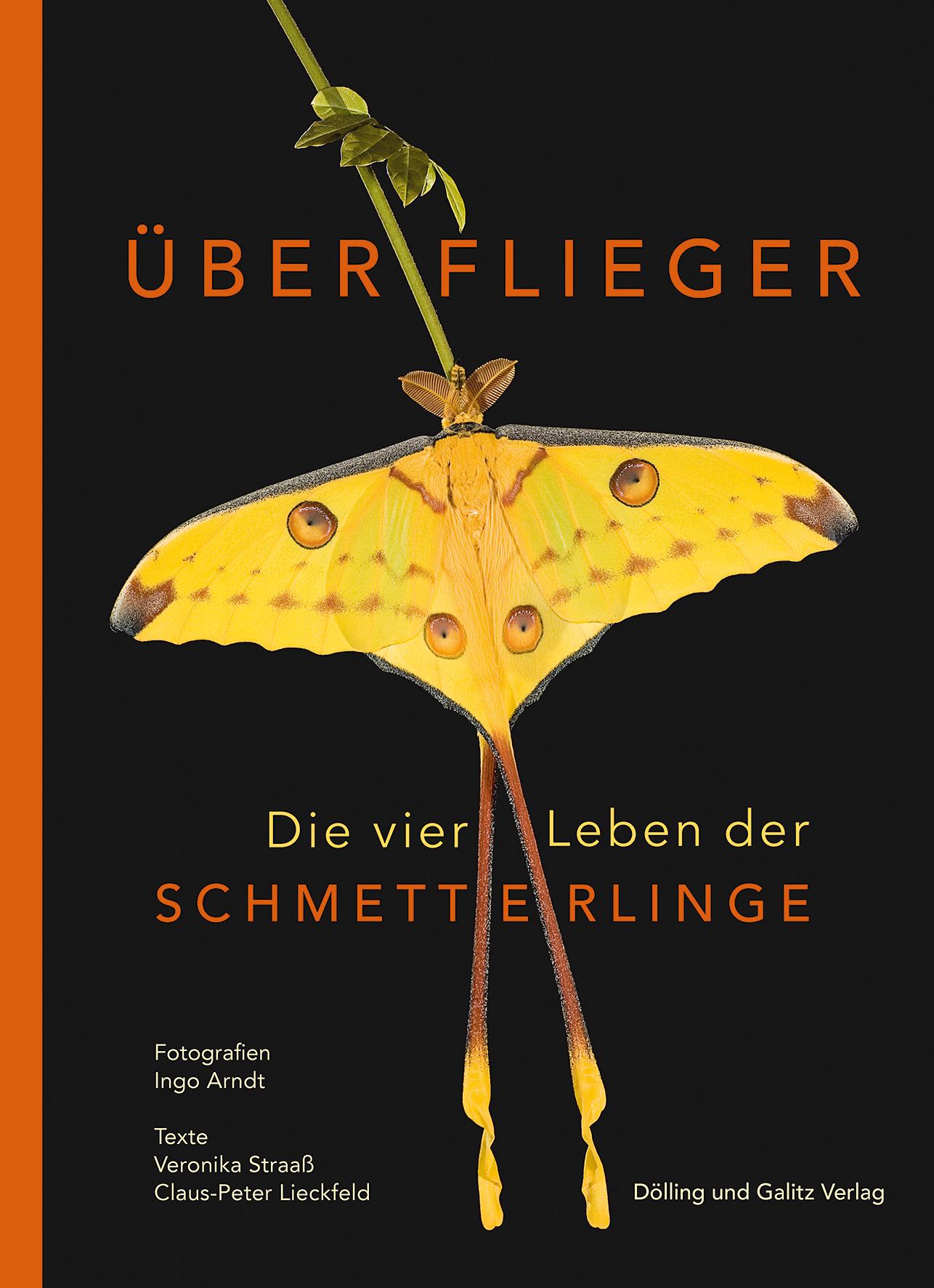 Überflieger. Die vier Leben der Schmetterlinge