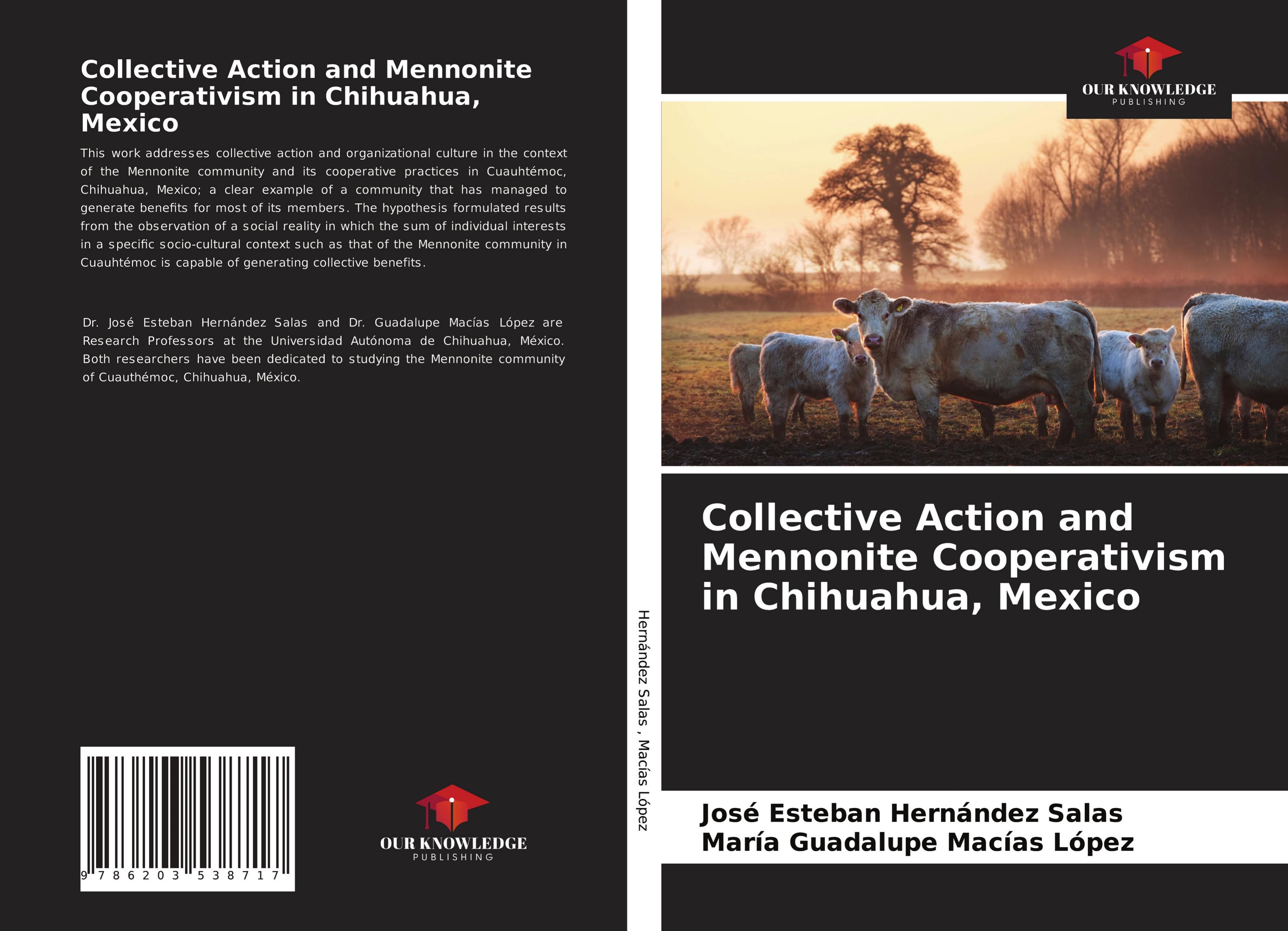 Collective Action and Mennonite Cooperativism in Chihuahua, Mexico