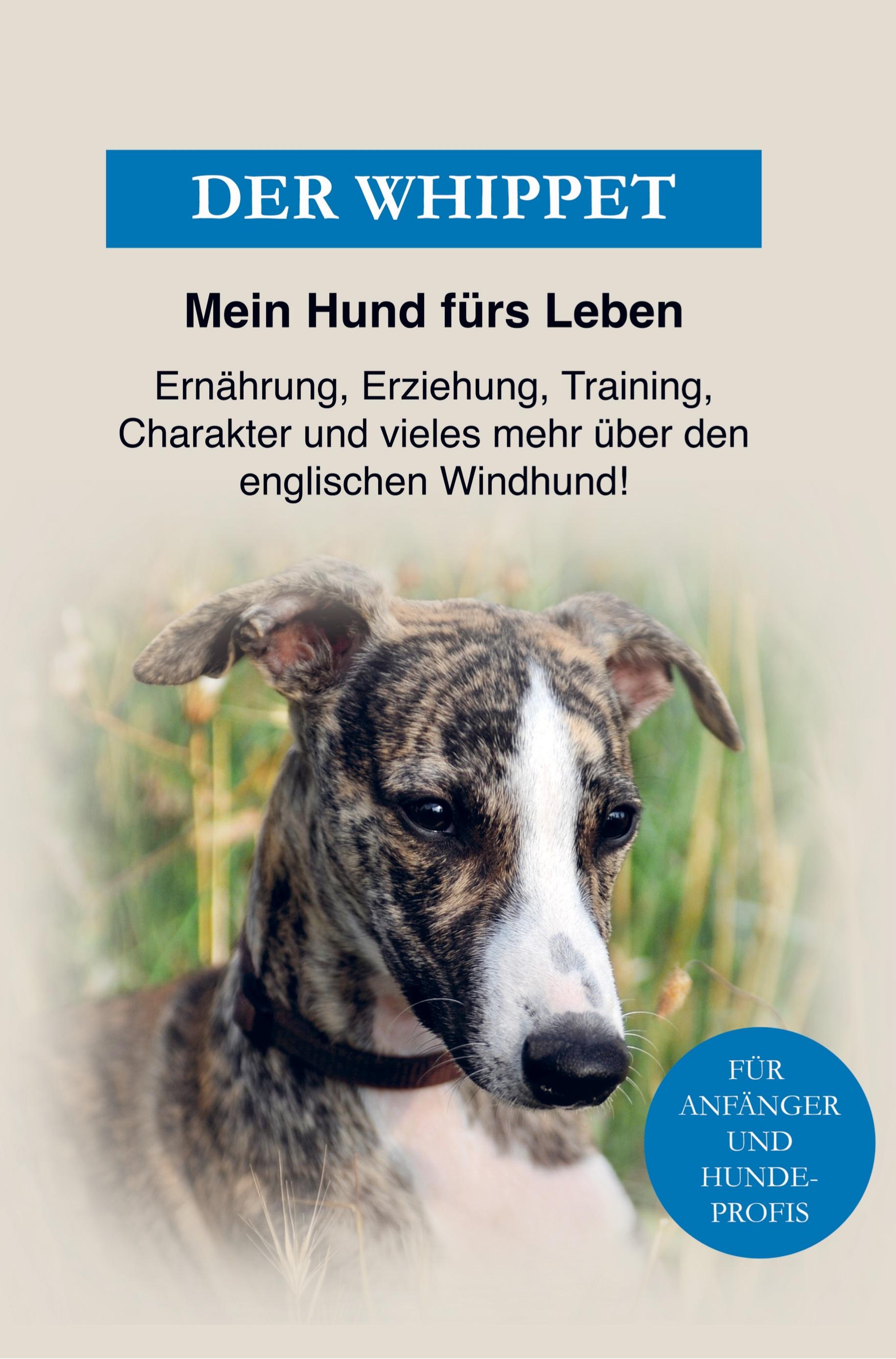 Whippet - Der englische Windhund