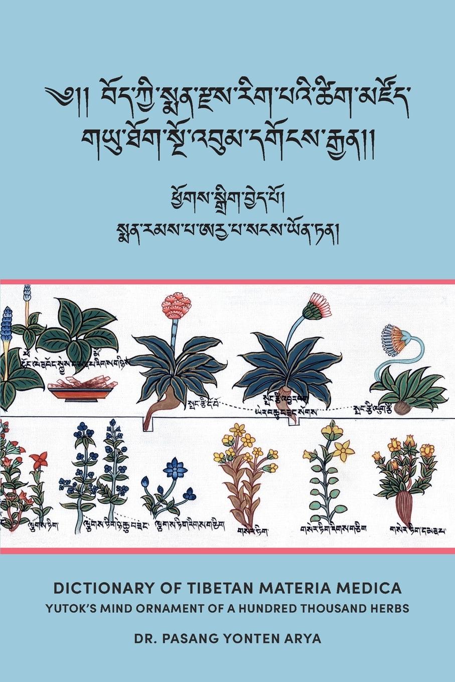 Dictionary of Tibetan Materia Medica (Bod kyi sman rdzas rig pa'i tshig mdzod)