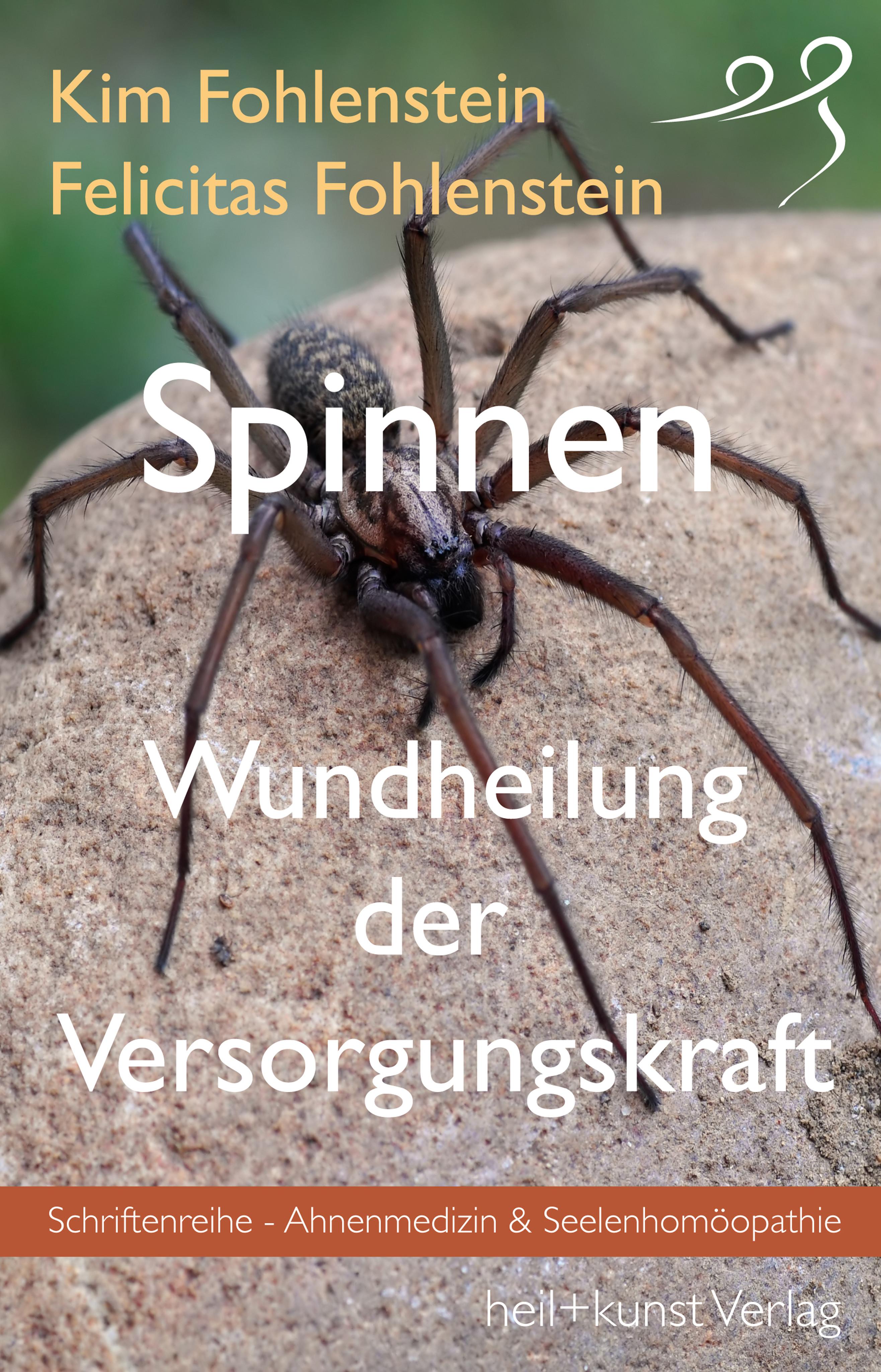 Spinnen - Wundheilung der Versorgungskraft