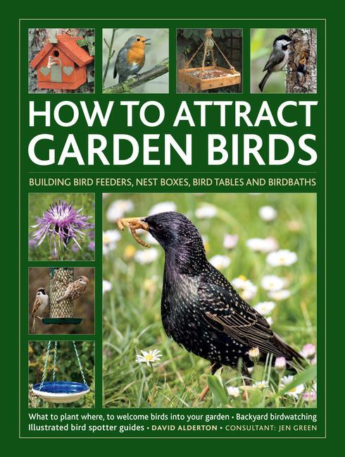 How to Attract Garden Birds