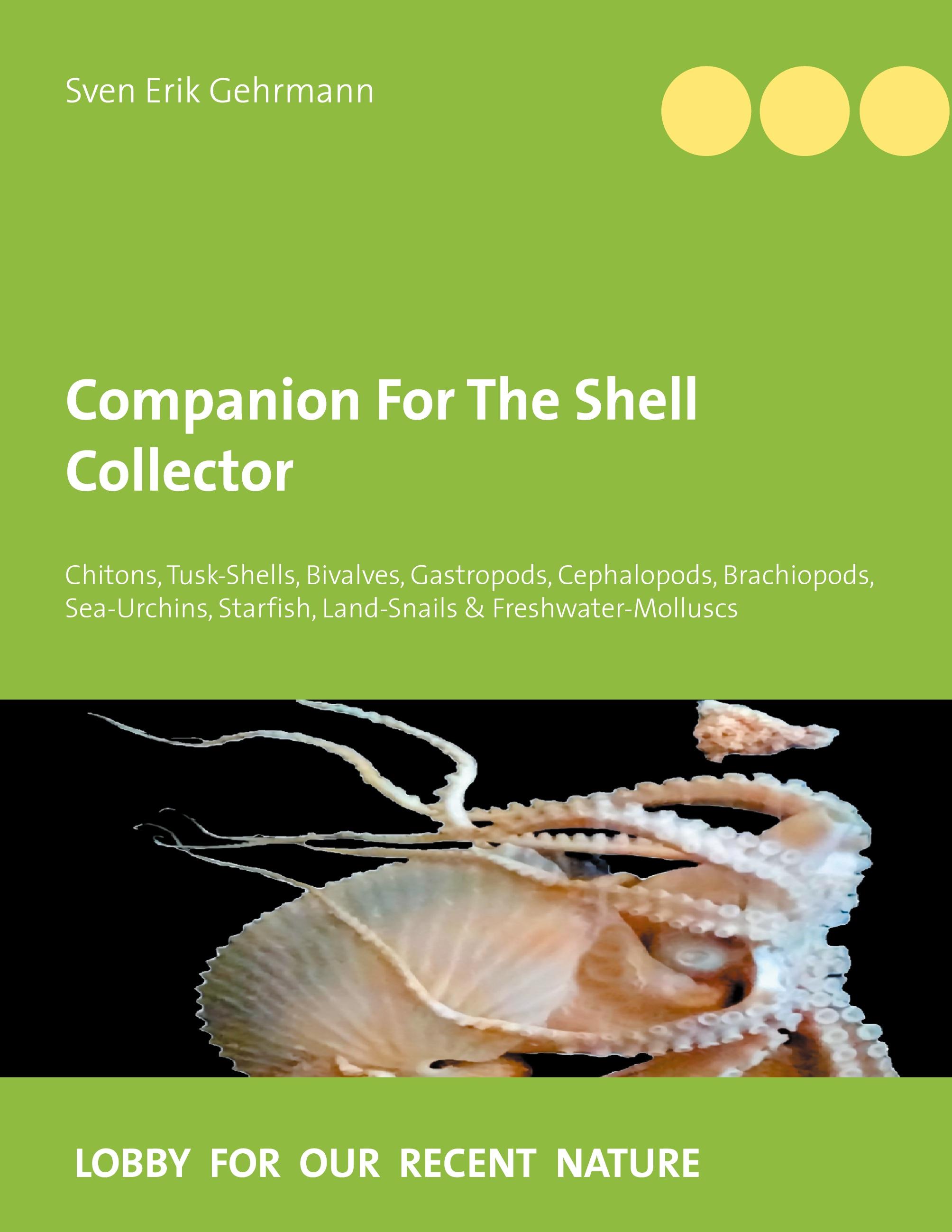 Companion For The Shell Collector