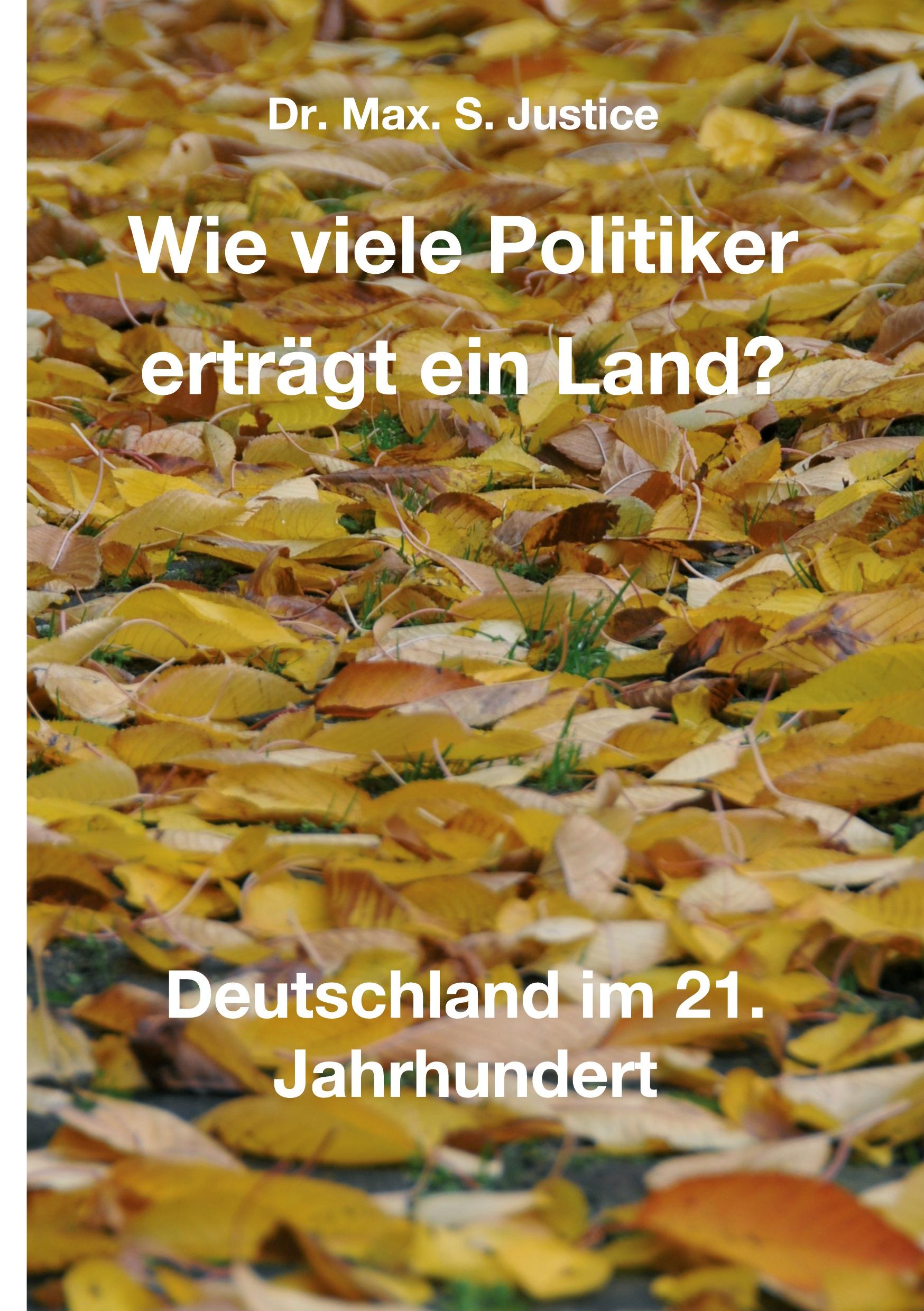 Wie viele Politiker erträgt ein Land?