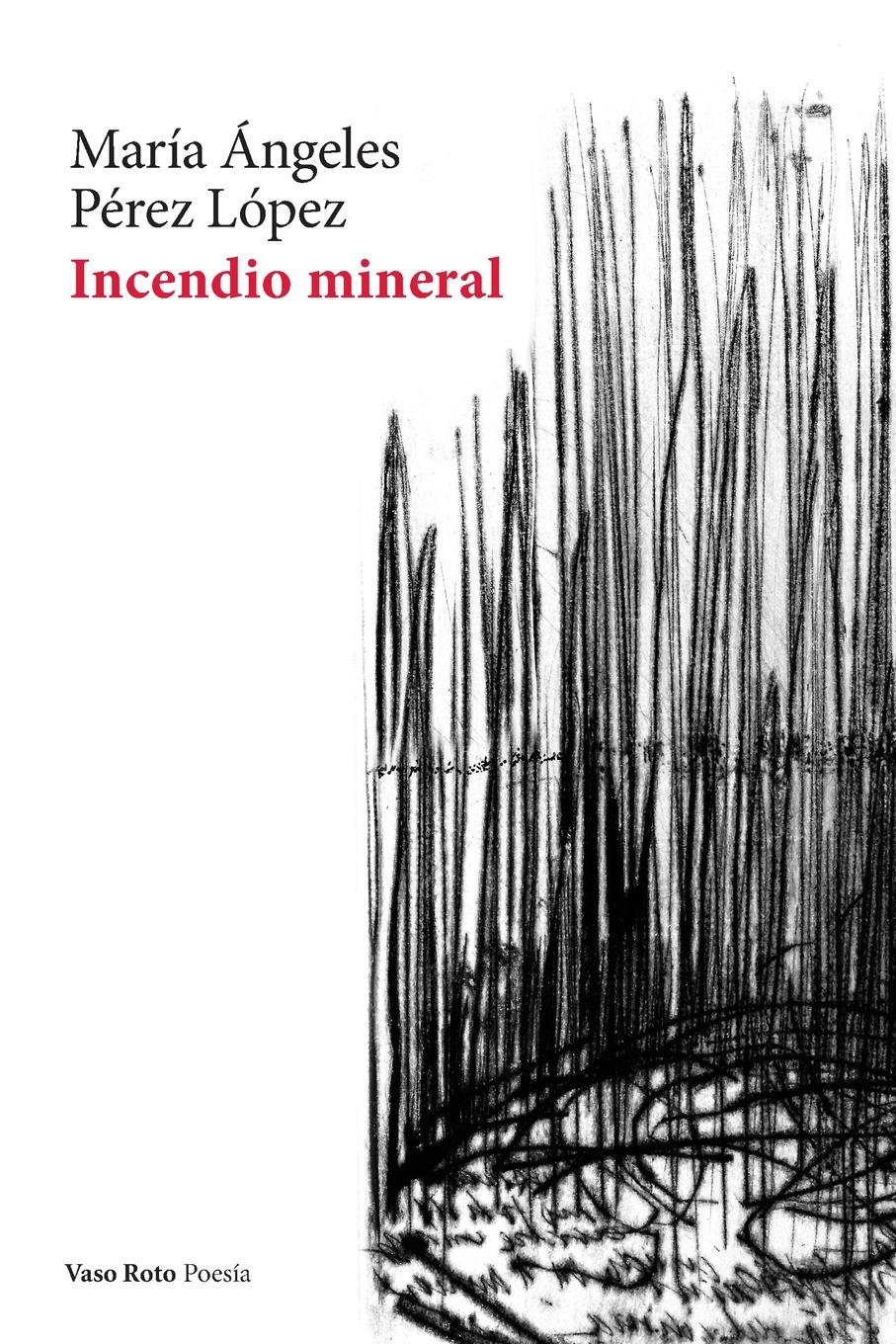 Incendio mineral