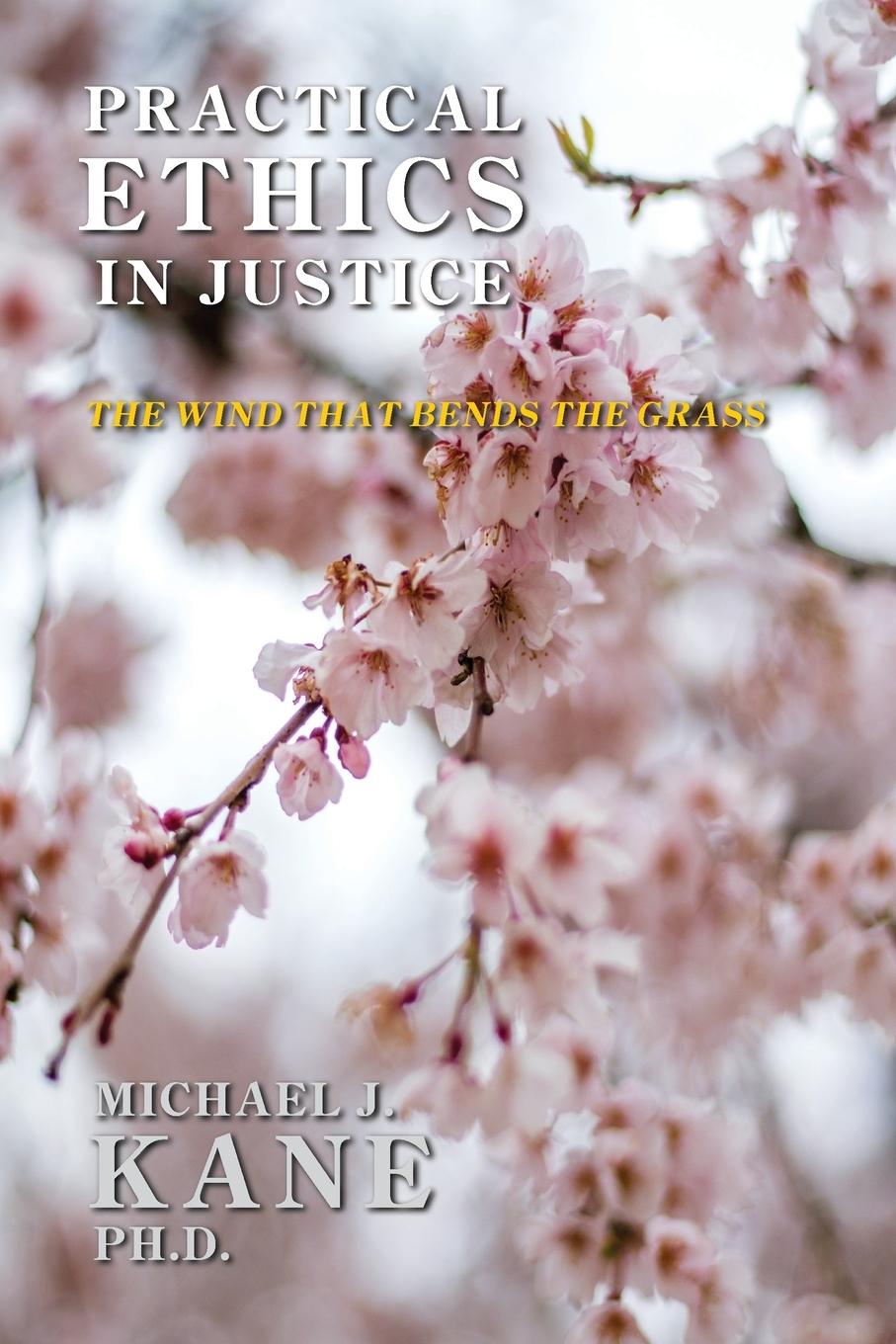 Practical Ethics in Justice