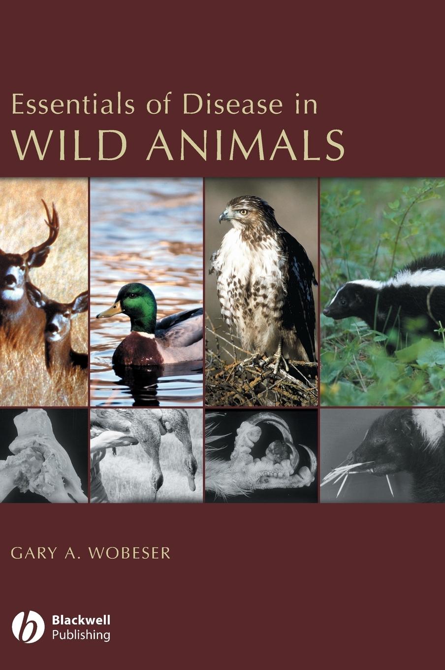 Essentials of Disease in Wild Animals