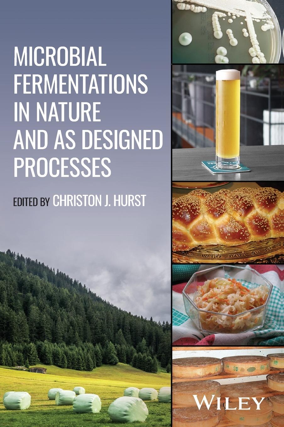 Microbial Fermentations in Nature and as Designed Processes