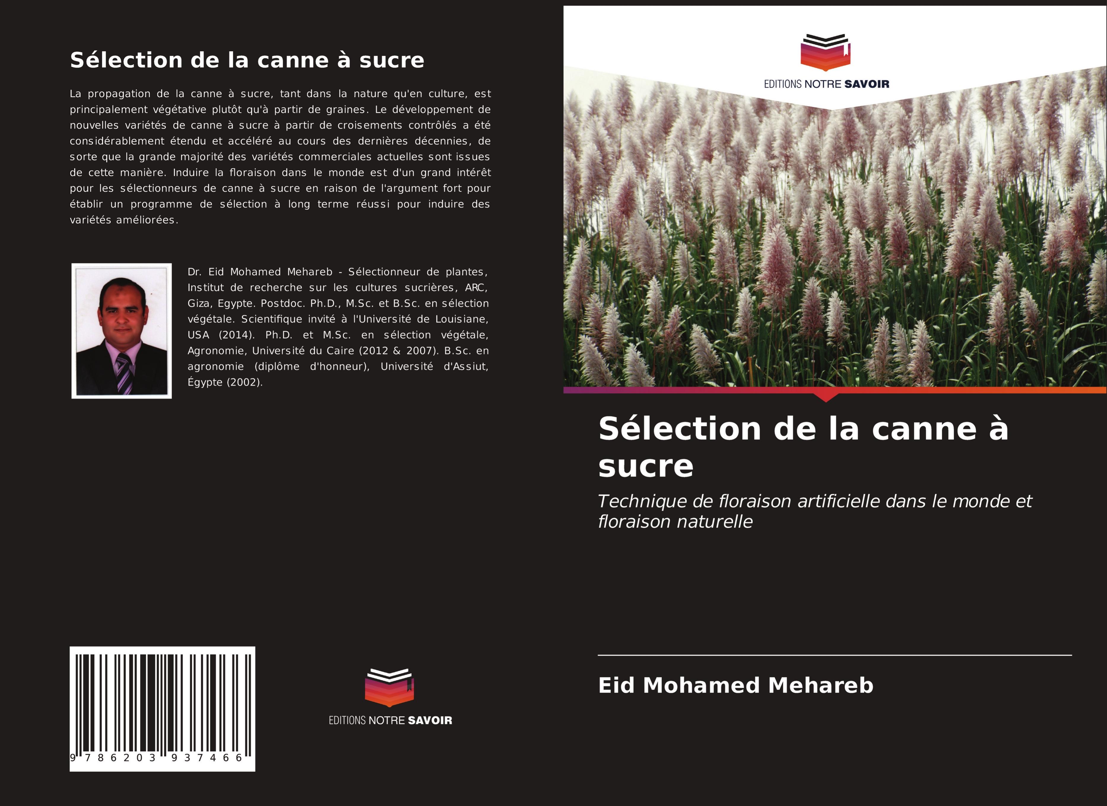 Sélection de la canne à sucre