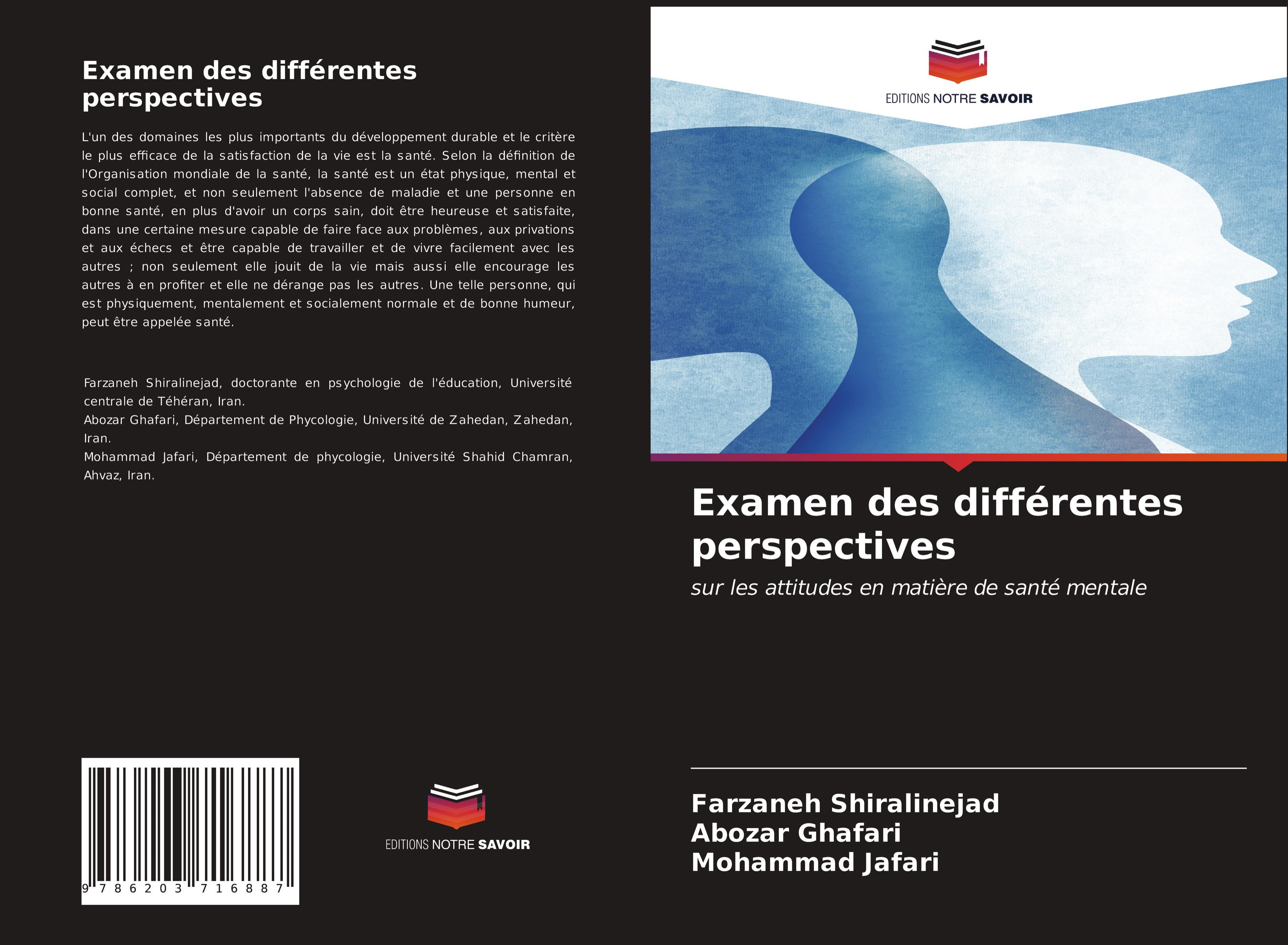 Examen des différentes perspectives