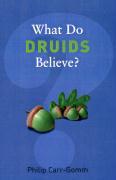 What Do Druids Believe?