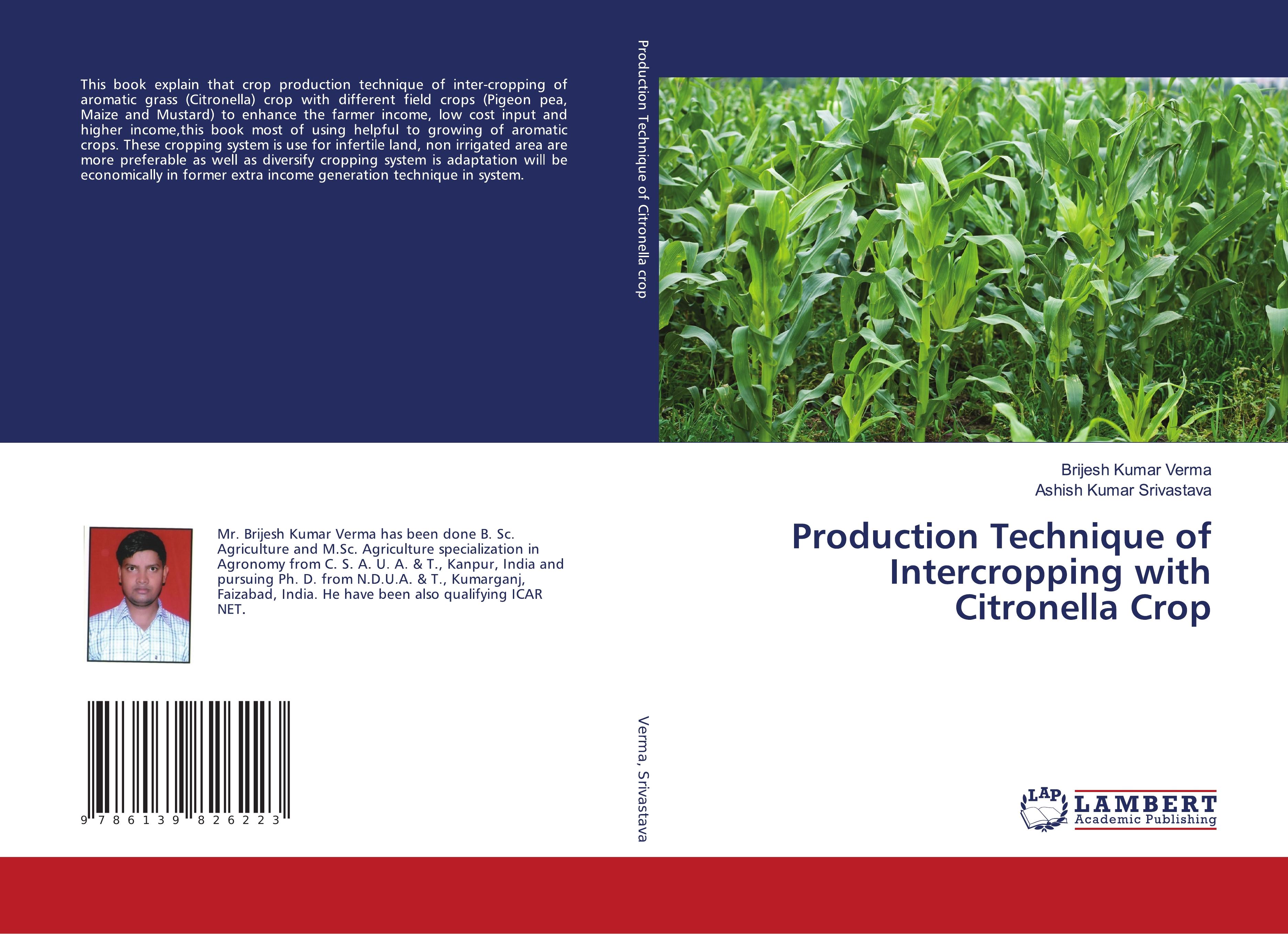 Production Technique of Intercropping with Citronella Crop