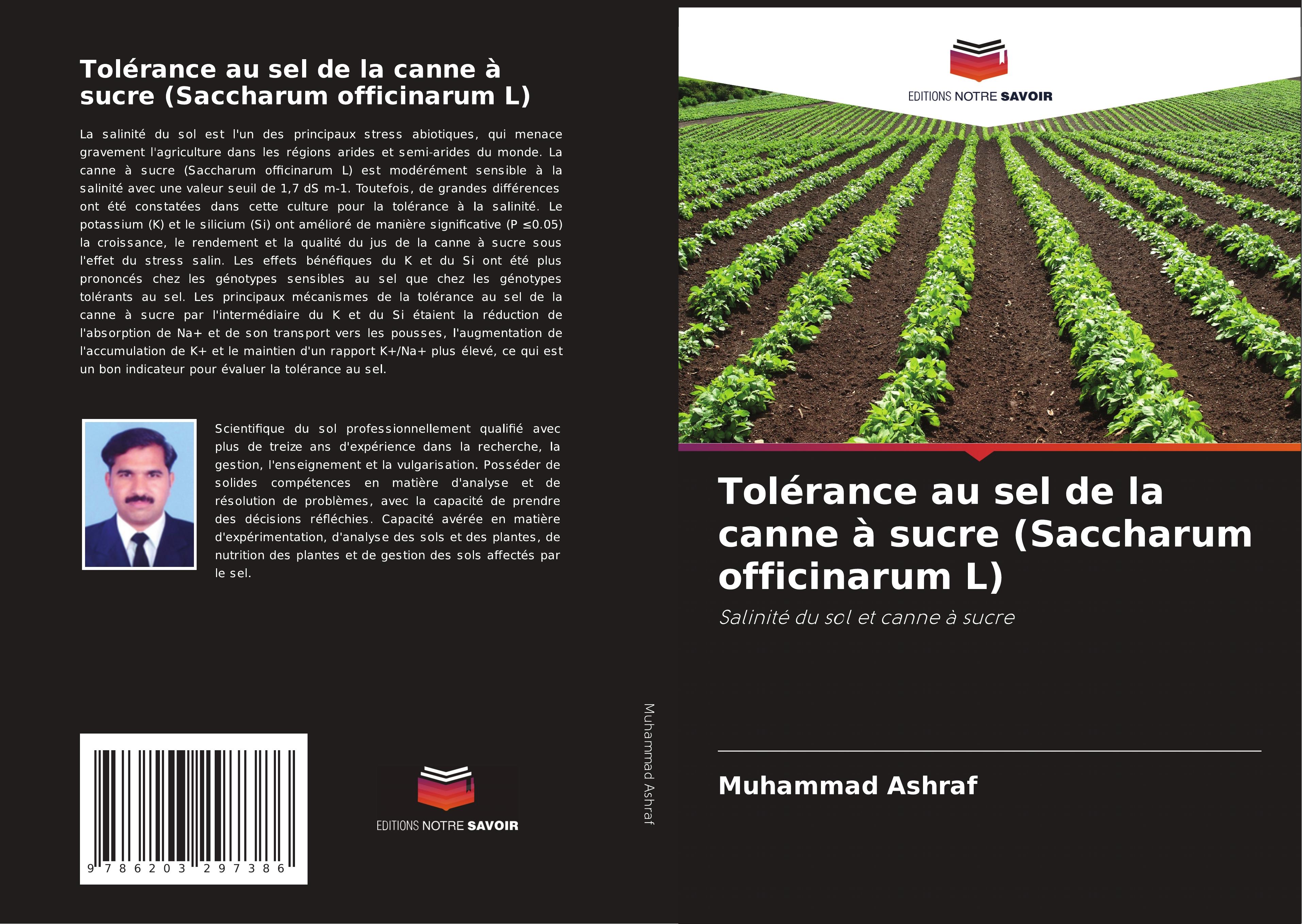 Tolérance au sel de la canne à sucre (Saccharum officinarum L)