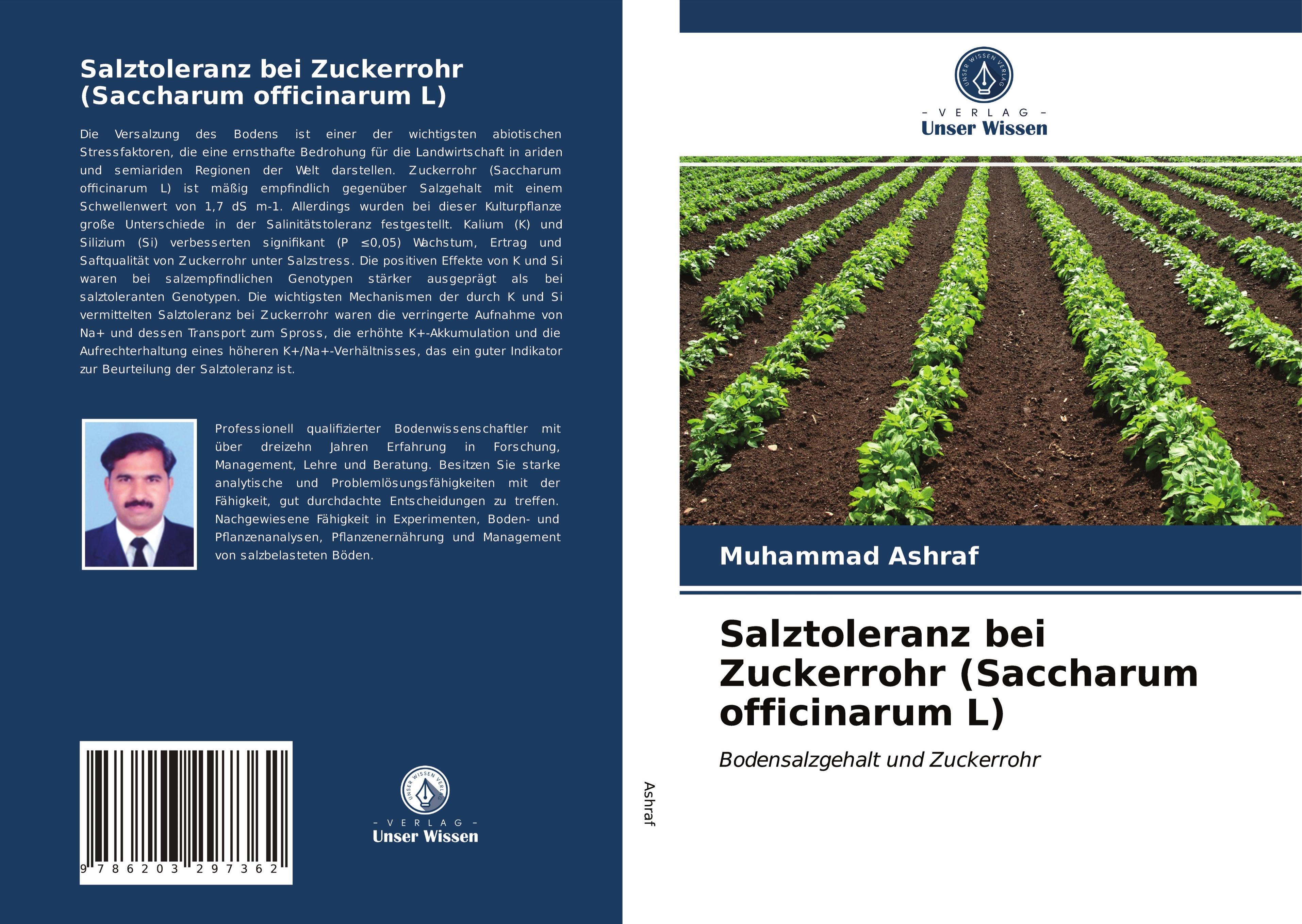 Salztoleranz bei Zuckerrohr (Saccharum officinarum L)