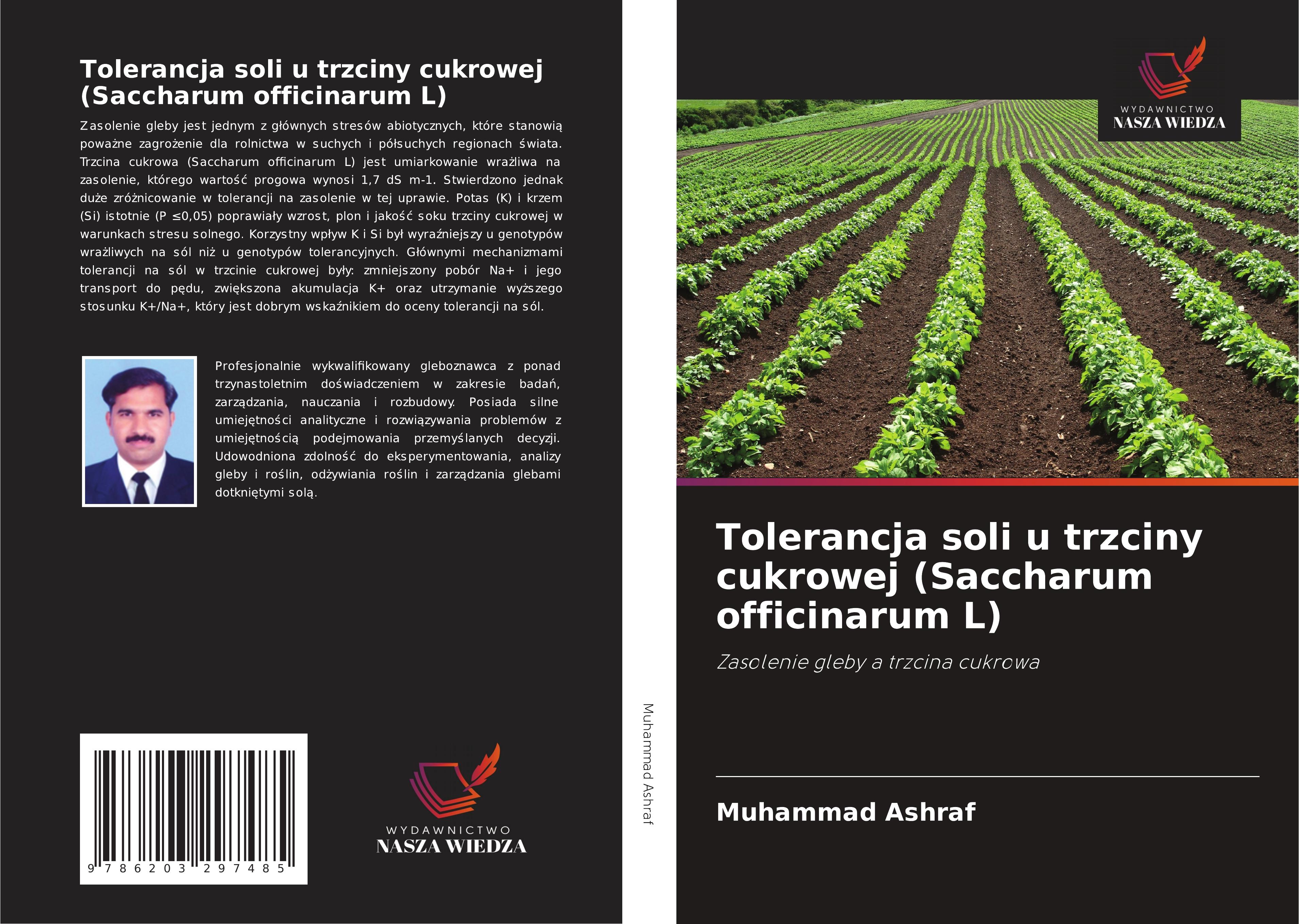 Tolerancja soli u trzciny cukrowej (Saccharum officinarum L)