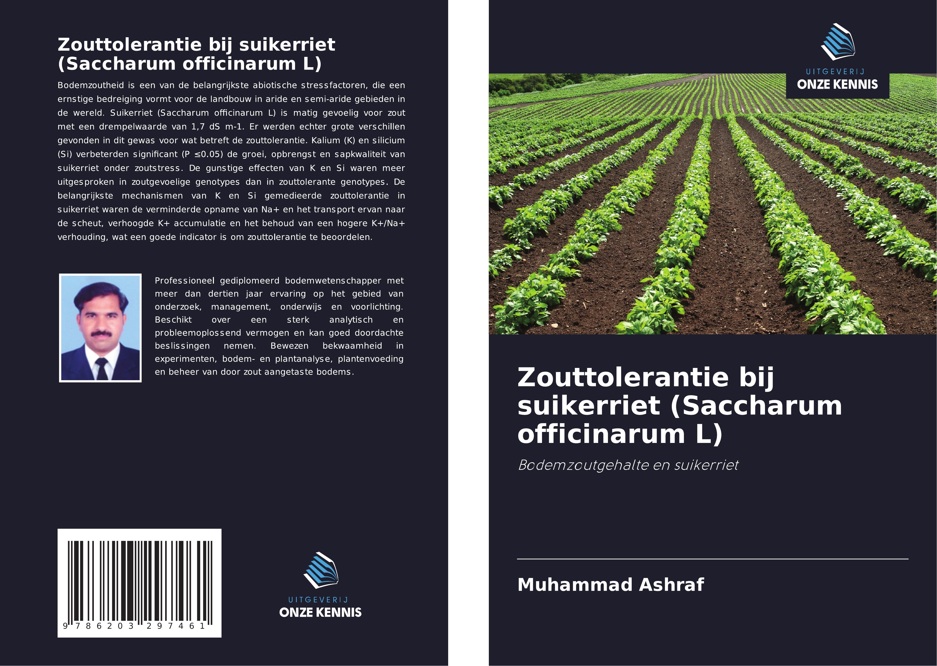 Zouttolerantie bij suikerriet (Saccharum officinarum L)