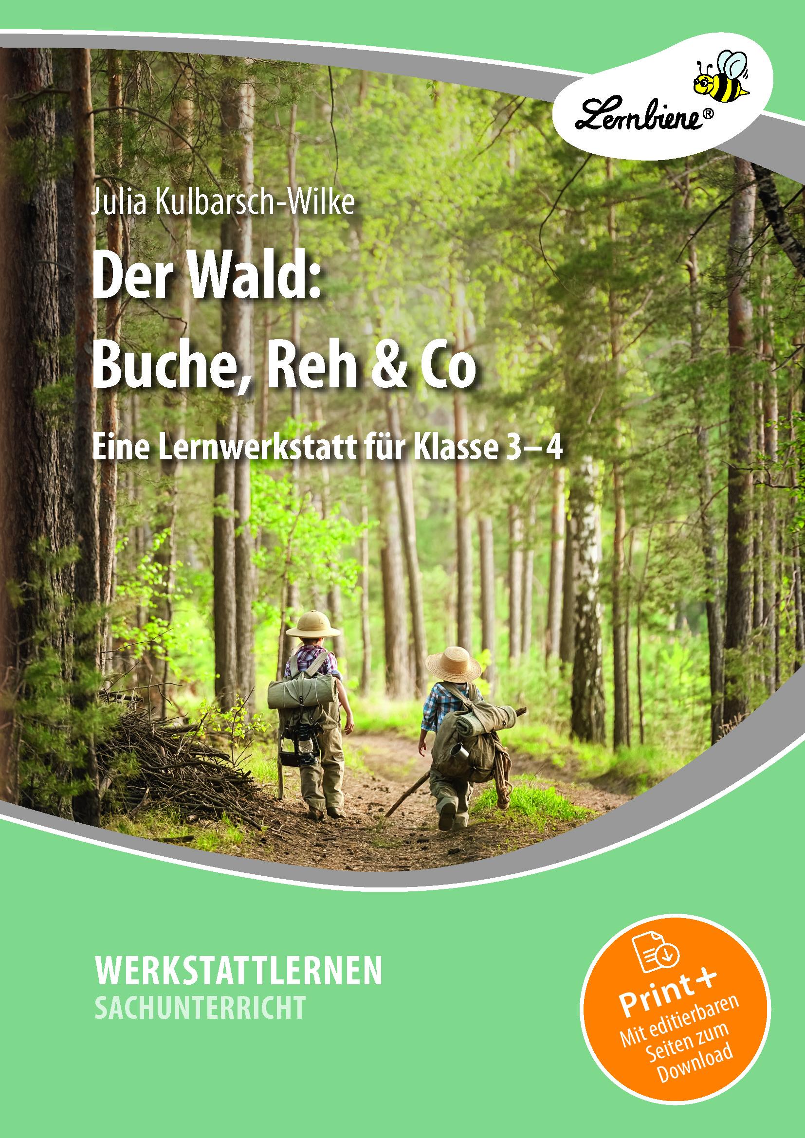 Der Wald: Buche, Reh & Co