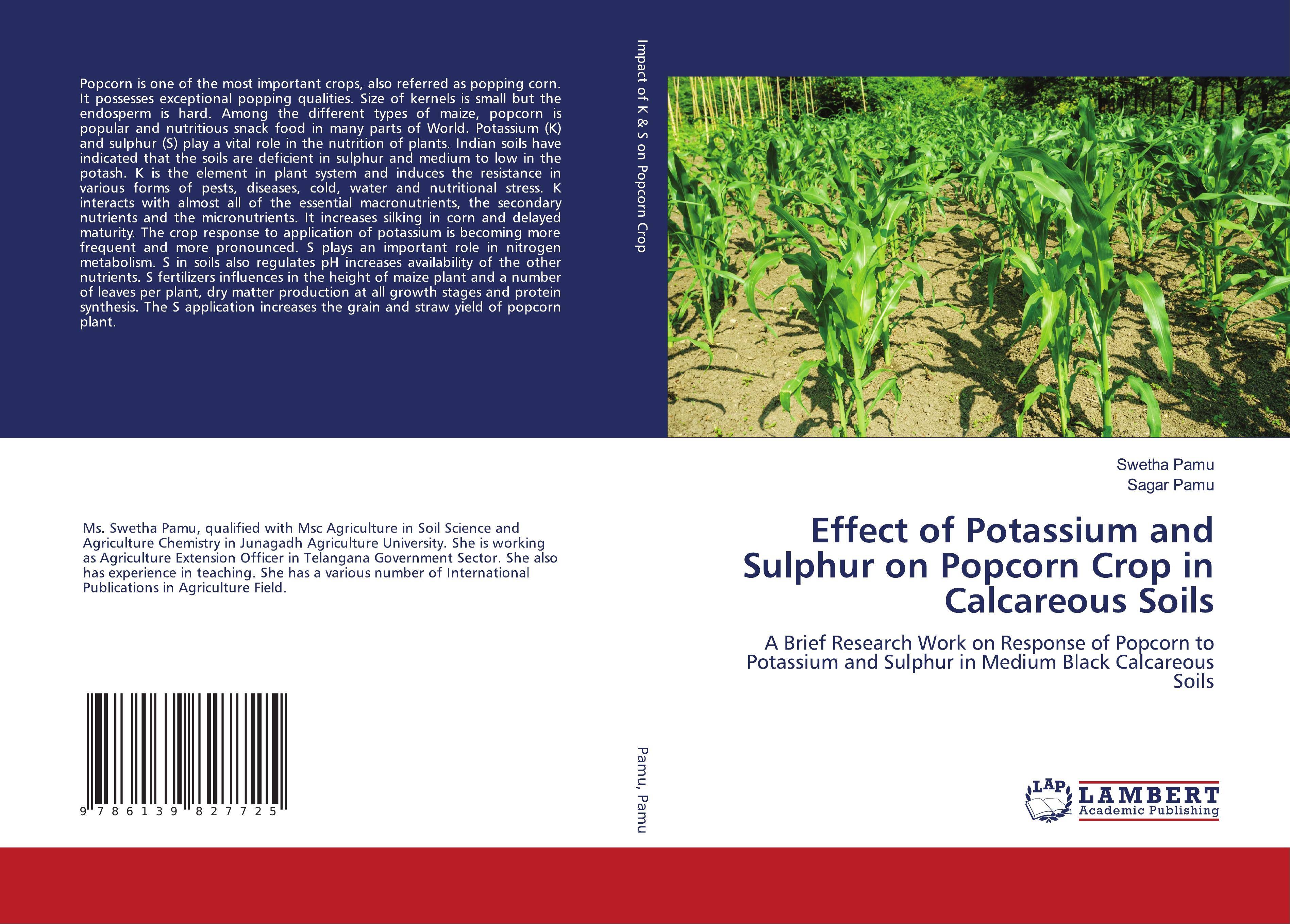 Effect of Potassium and Sulphur on Popcorn Crop in Calcareous Soils