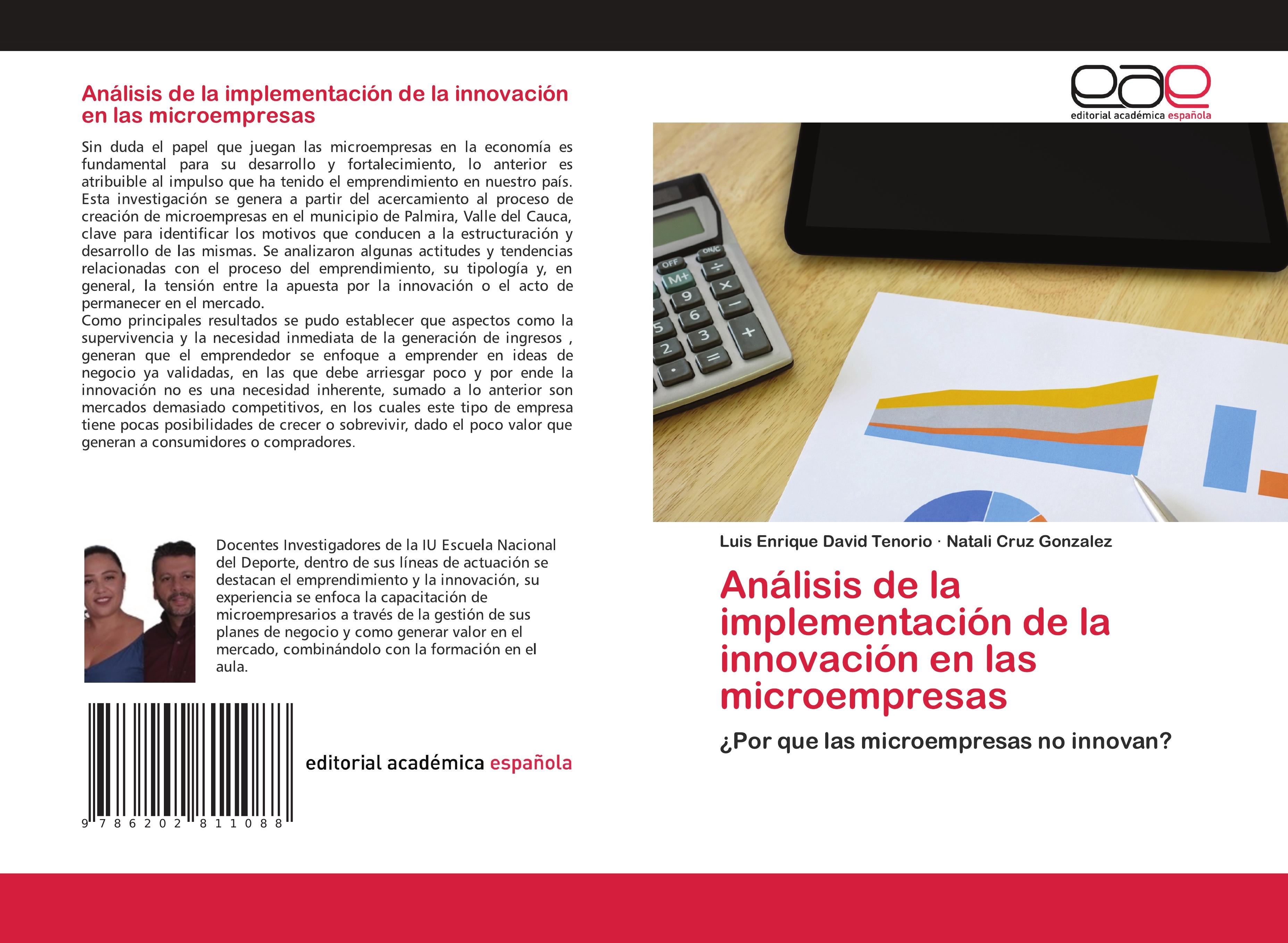 Análisis de la implementación de la innovación en las microempresas