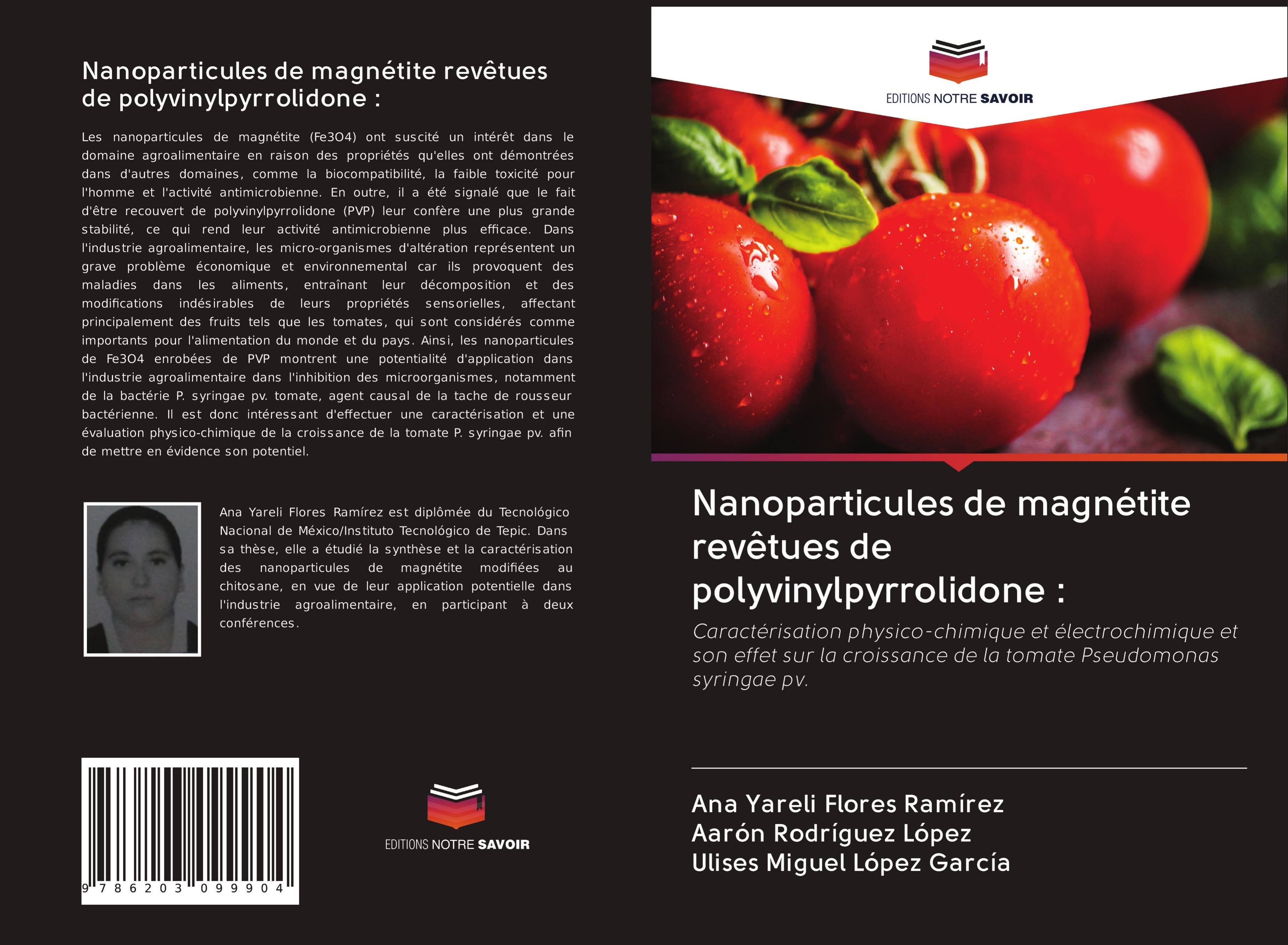 Nanoparticules de magnétite revêtues de polyvinylpyrrolidone :