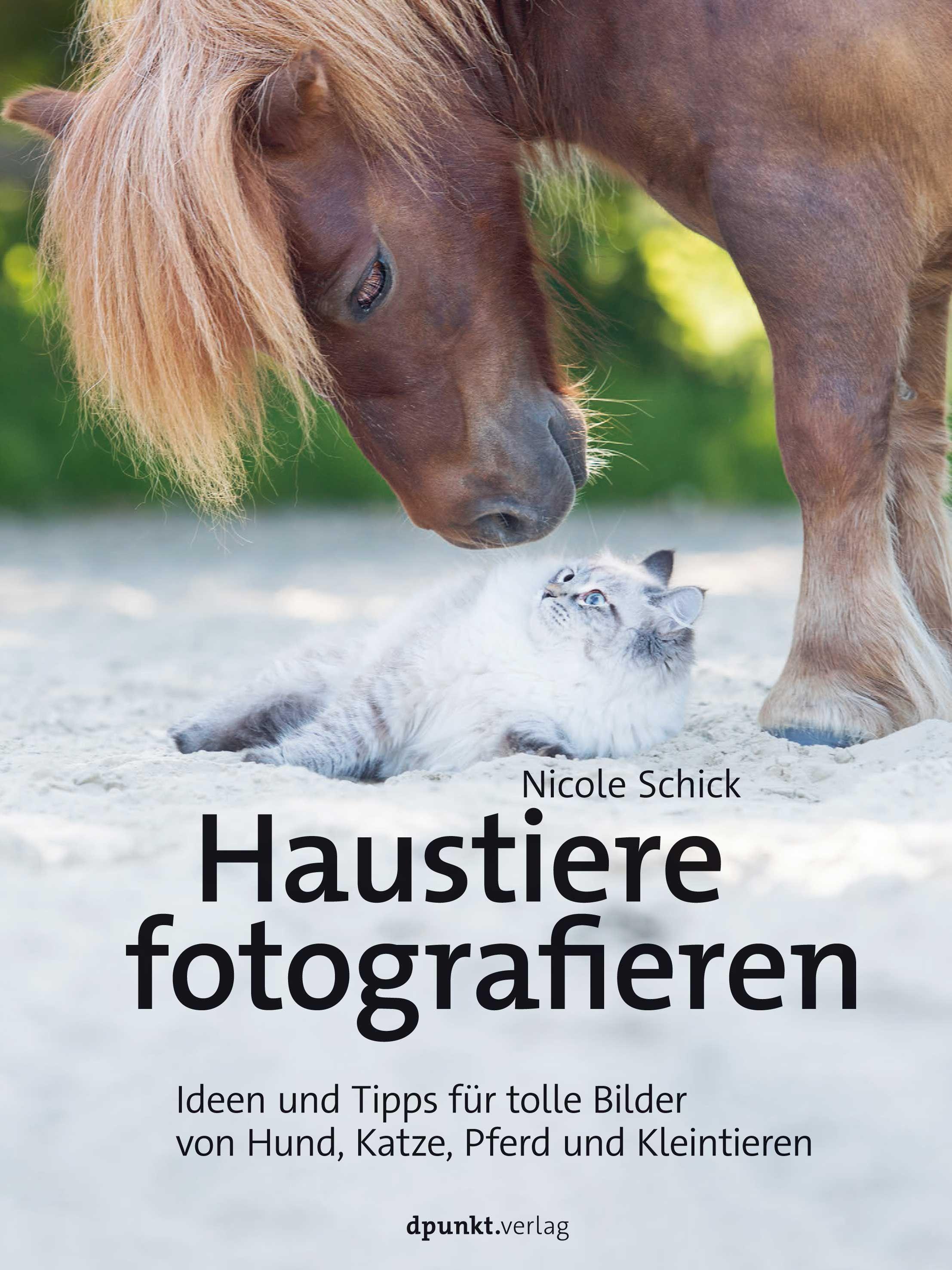 Haustiere fotografieren