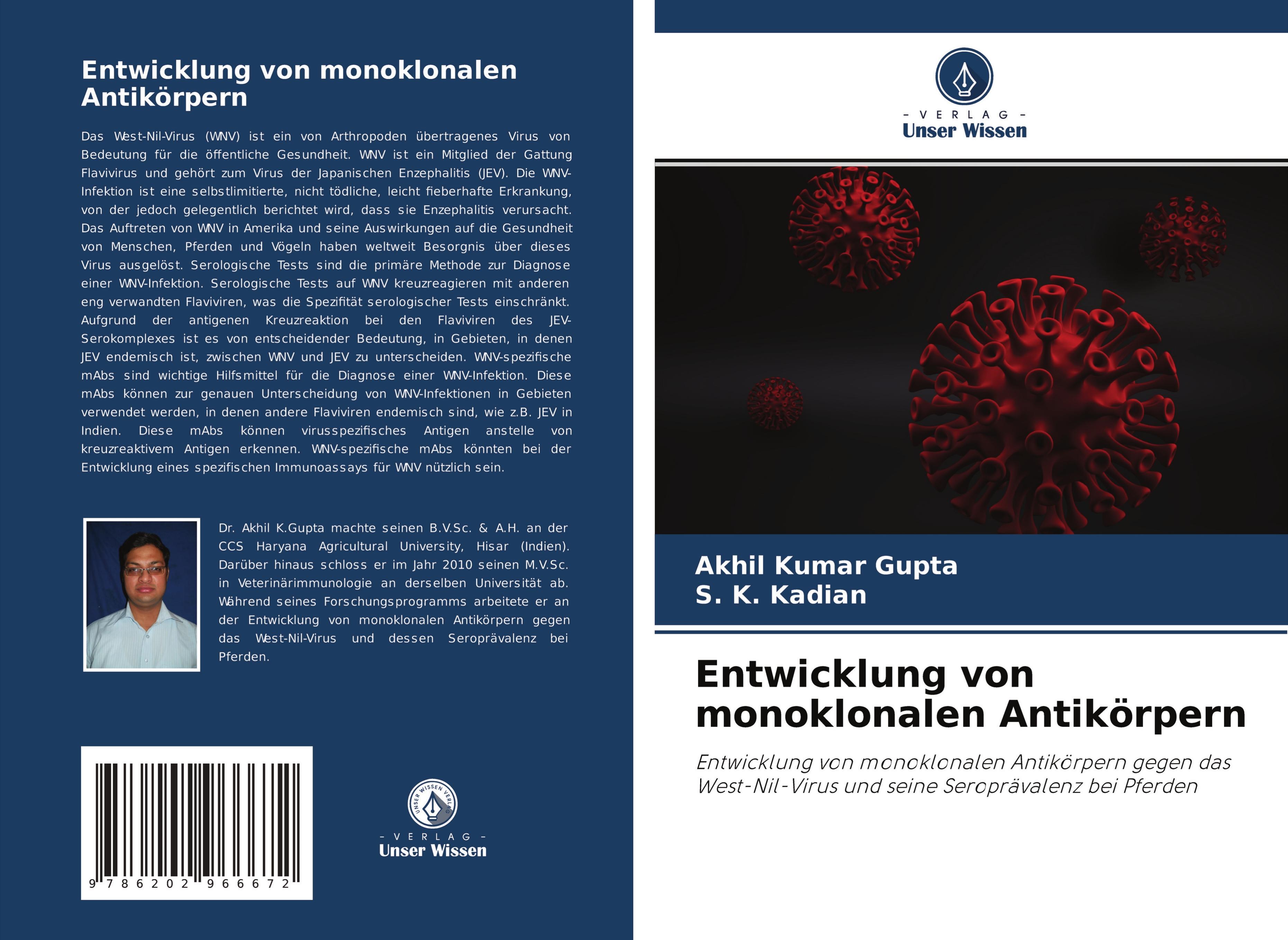 Entwicklung von monoklonalen Antikörpern