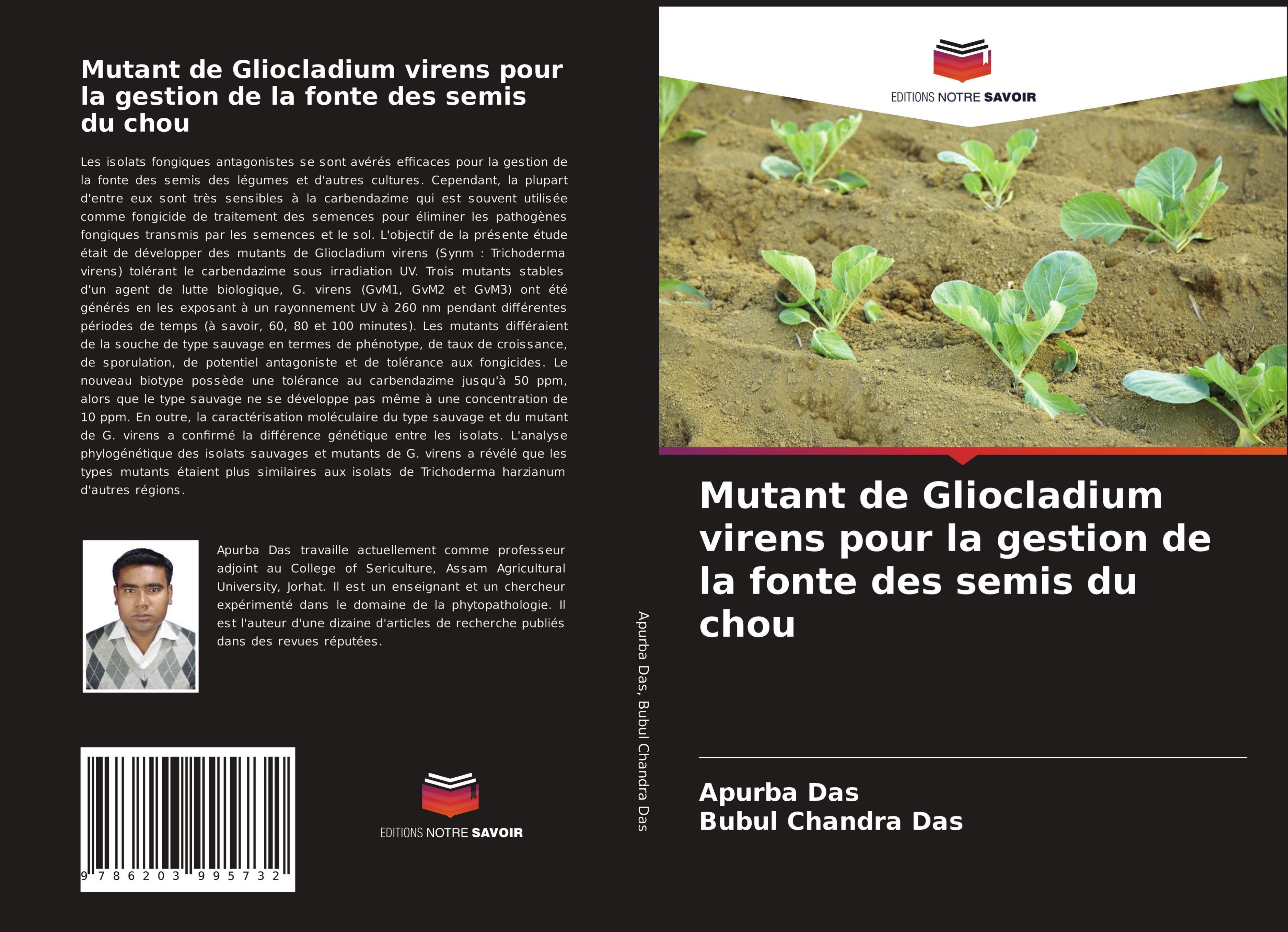 Mutant de Gliocladium virens pour la gestion de la fonte des semis du chou