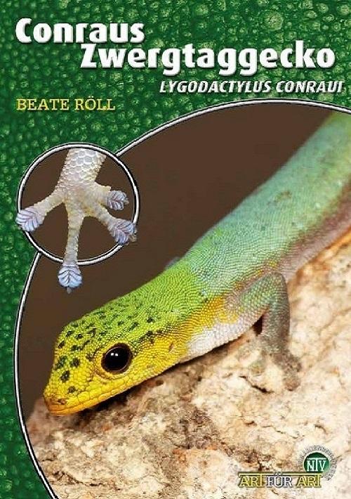 Conraus Zwergtaggecko