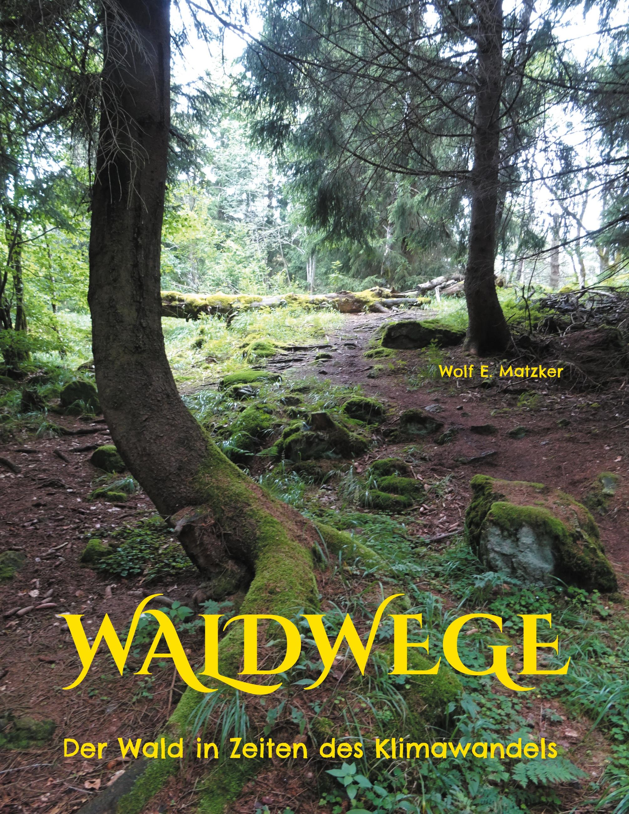 Waldwege