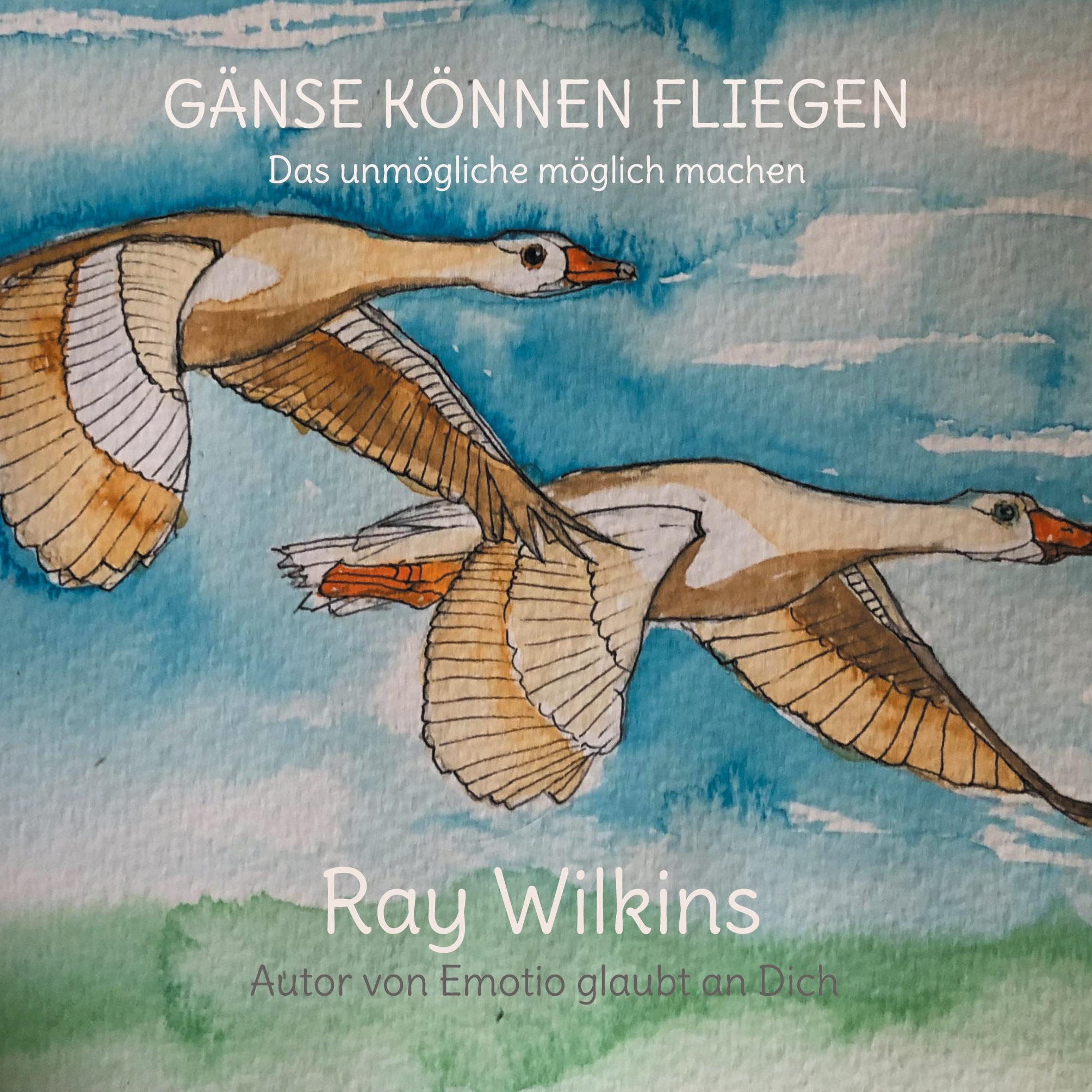 Gänse können fliegen