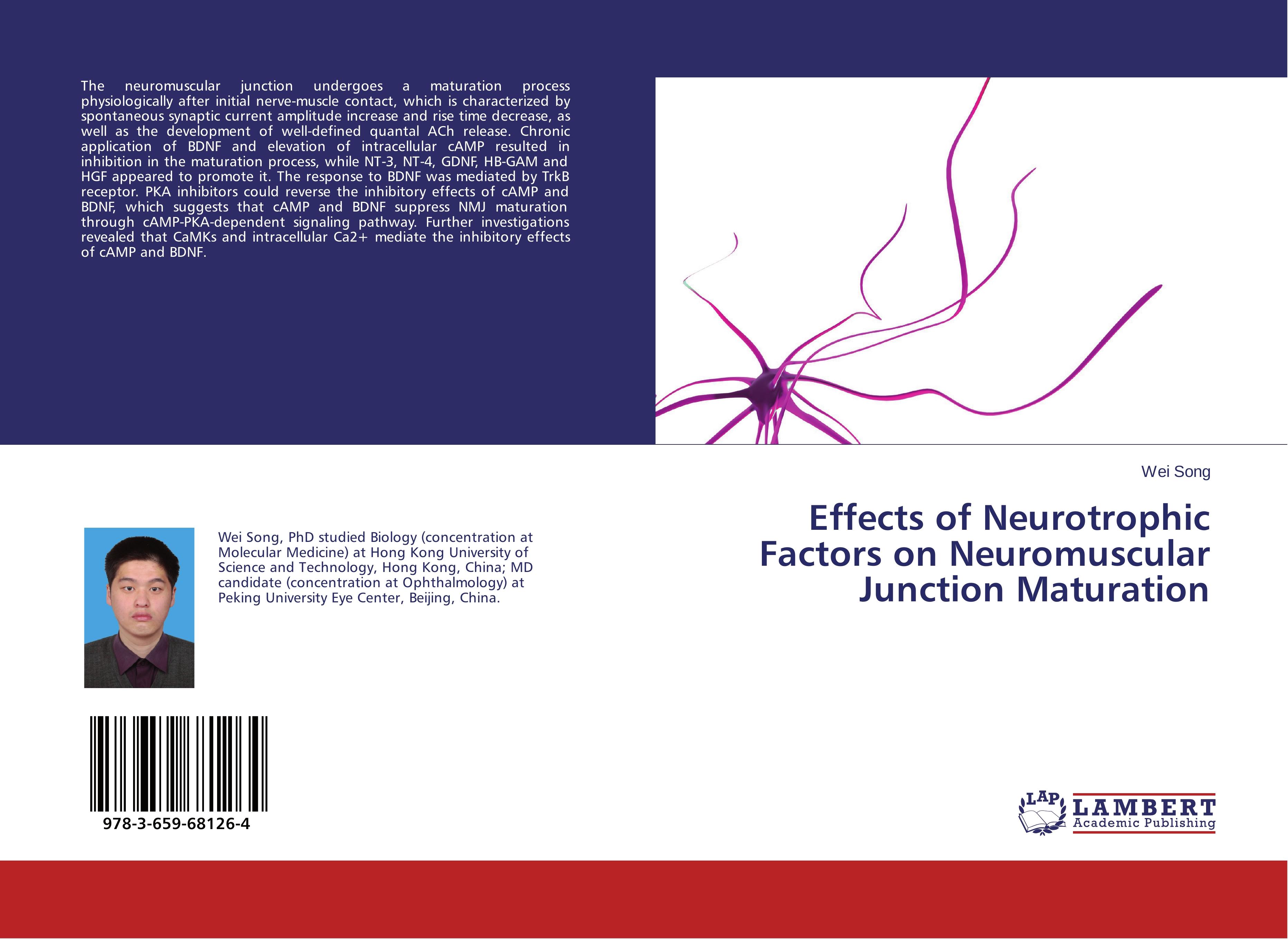 Effects of Neurotrophic Factors on Neuromuscular Junction Maturation